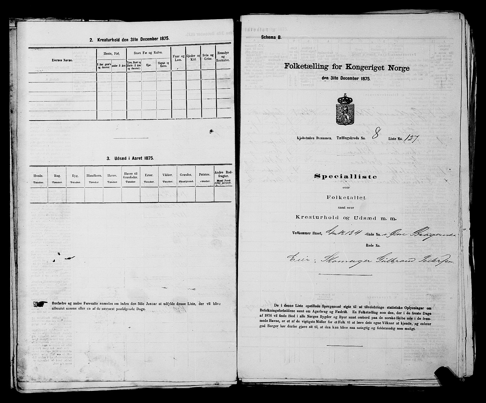 SAKO, 1875 census for 0602 Drammen, 1875, p. 682