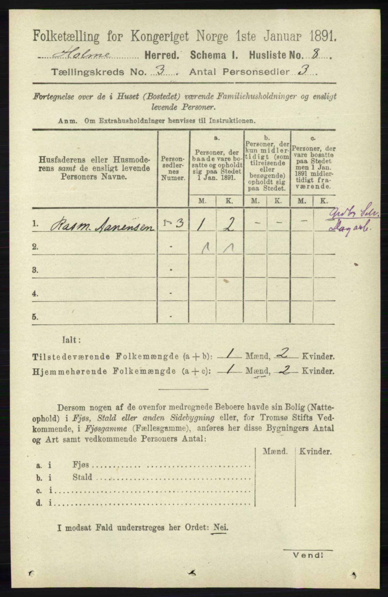 RA, 1891 census for 1020 Holum, 1891, p. 786