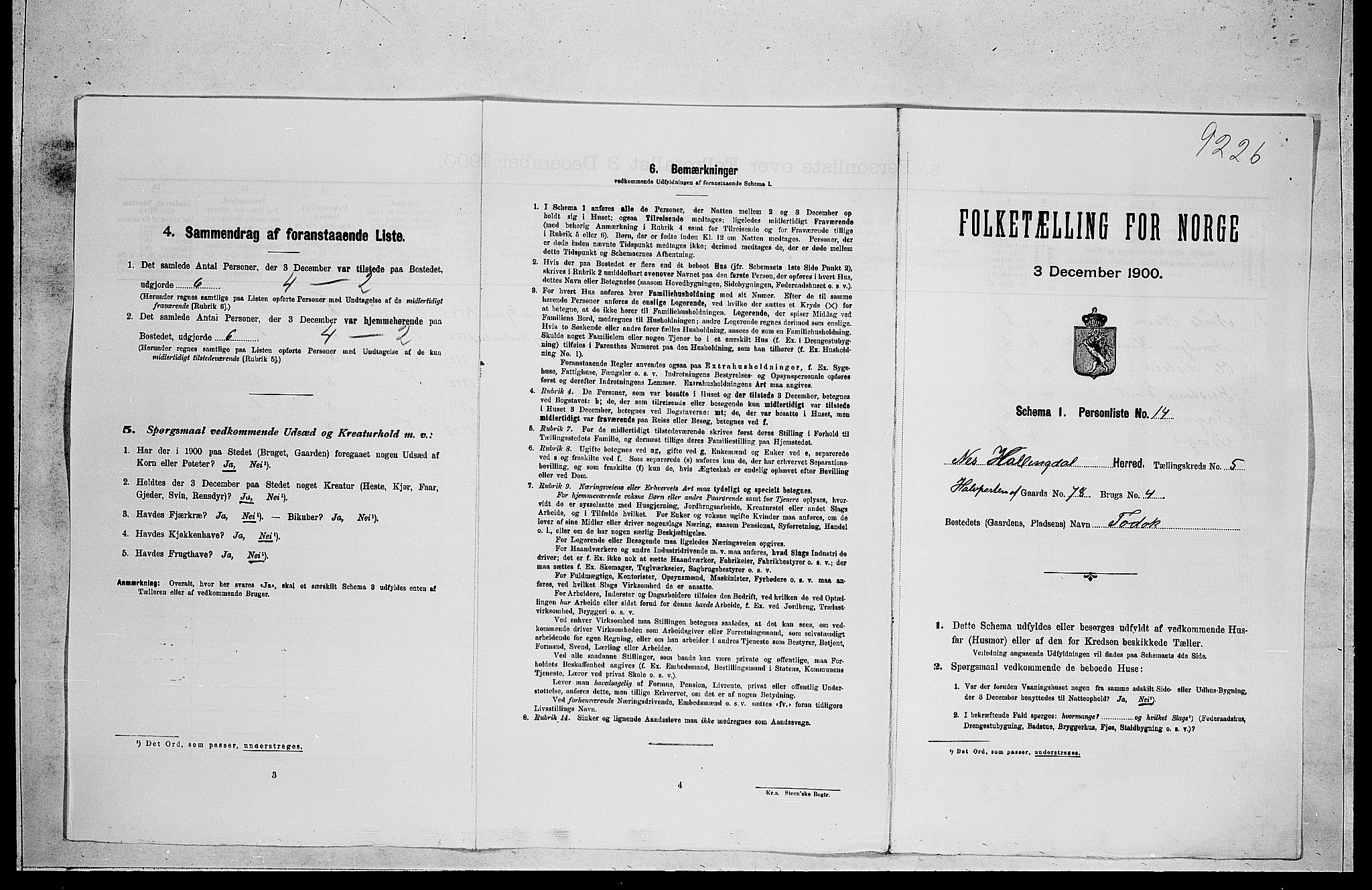 RA, 1900 census for Nes, 1900, p. 586