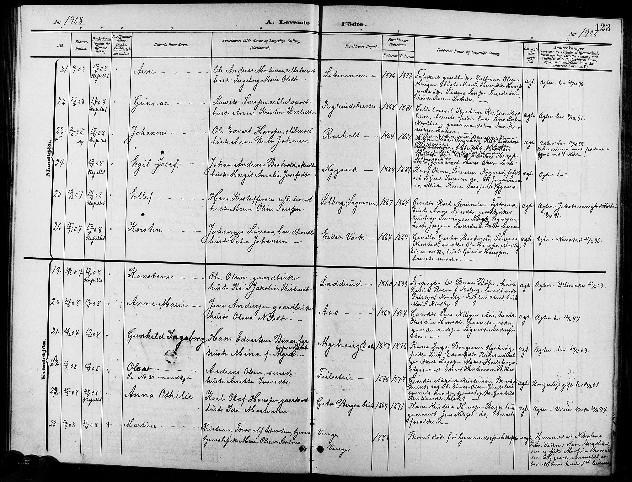 Eidsvoll prestekontor Kirkebøker, AV/SAO-A-10888/G/Ga/L0007: Parish register (copy) no. I 7, 1901-1909, p. 123