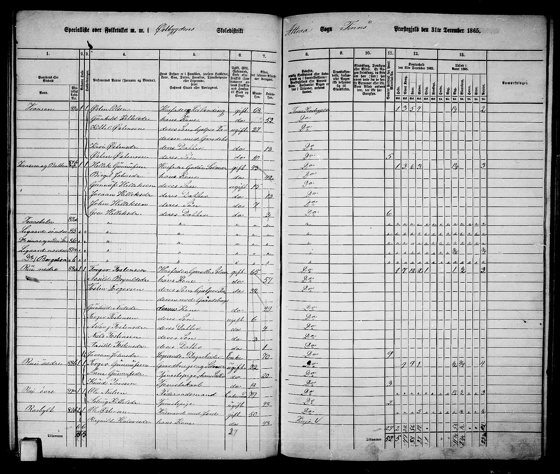 RA, 1865 census for Tinn, 1865, p. 10