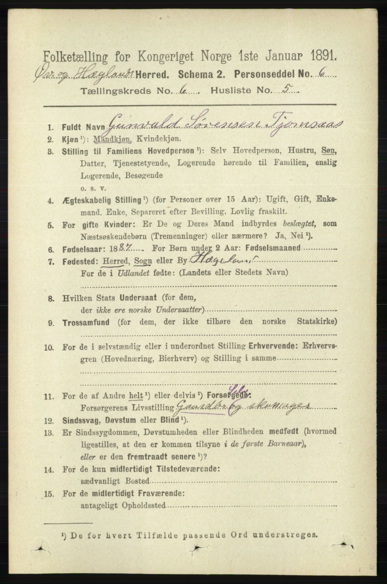 RA, 1891 census for 1016 Øvrebø og Hægeland, 1891, p. 1197