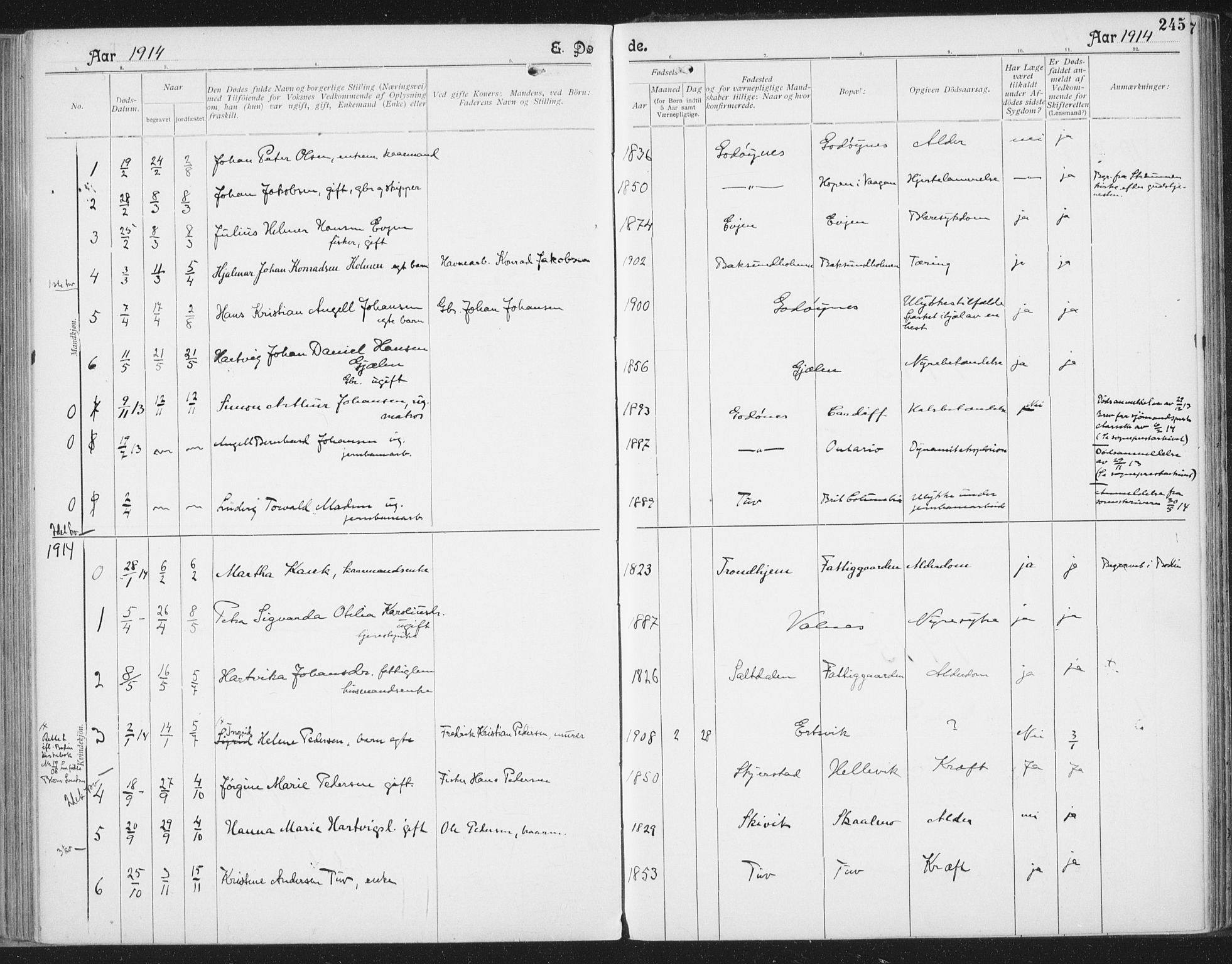 Ministerialprotokoller, klokkerbøker og fødselsregistre - Nordland, SAT/A-1459/804/L0081: Parish register (official) no. 804A02, 1901-1915, p. 245