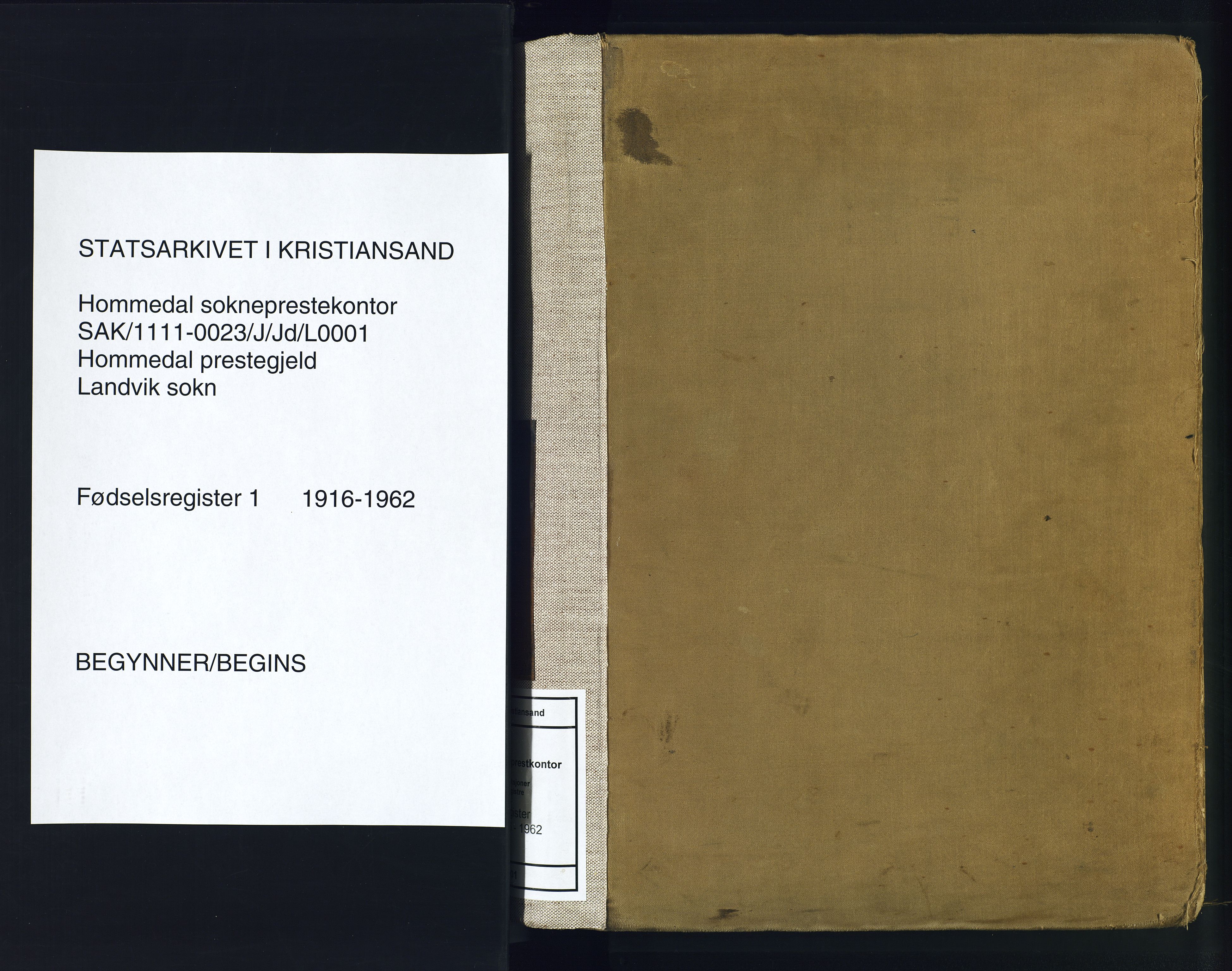 Hommedal sokneprestkontor, AV/SAK-1111-0023/J/Jd/L0001: Birth register no. 1, 1916-1962