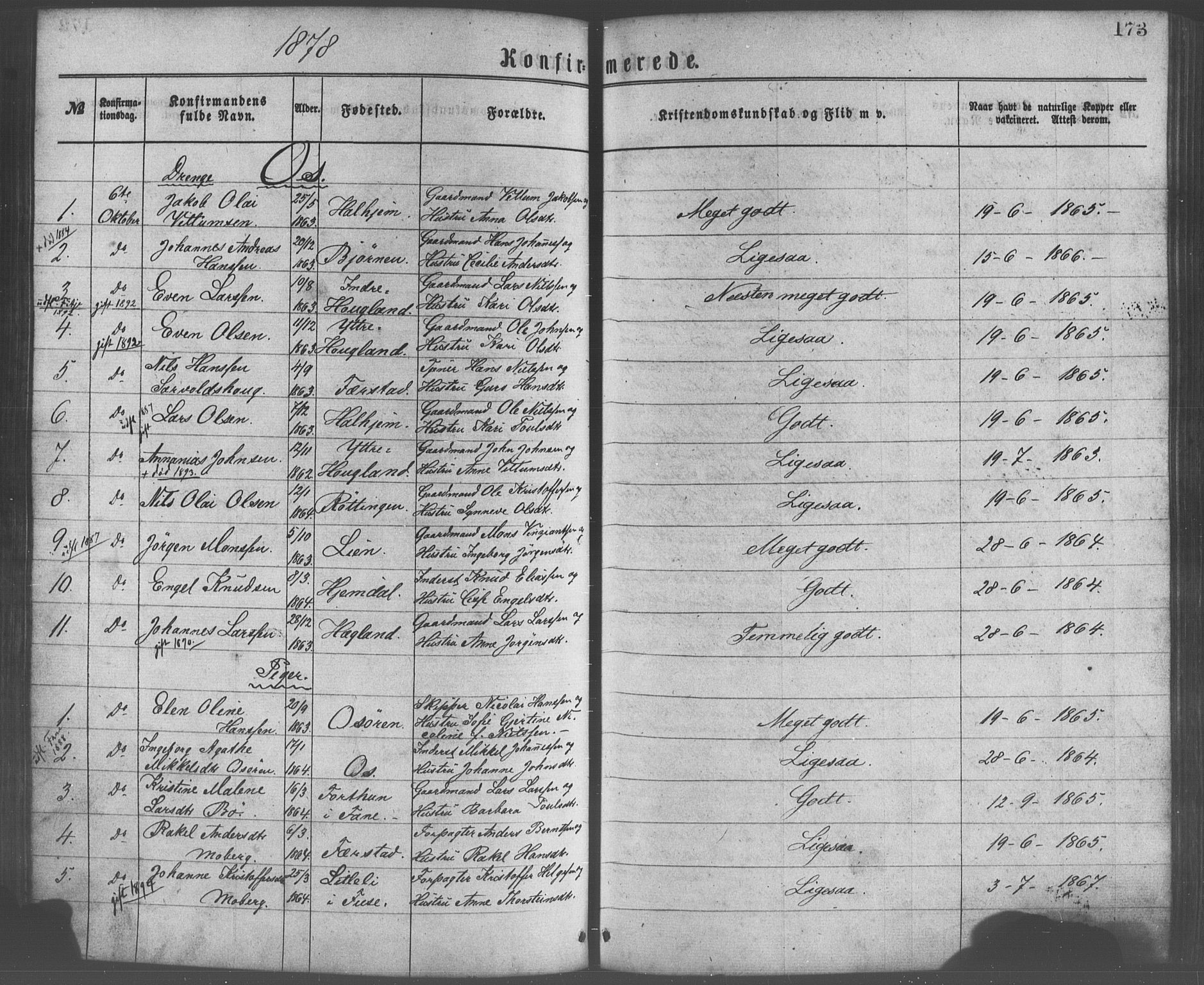 Os sokneprestembete, SAB/A-99929: Parish register (official) no. A 18, 1874-1884, p. 173