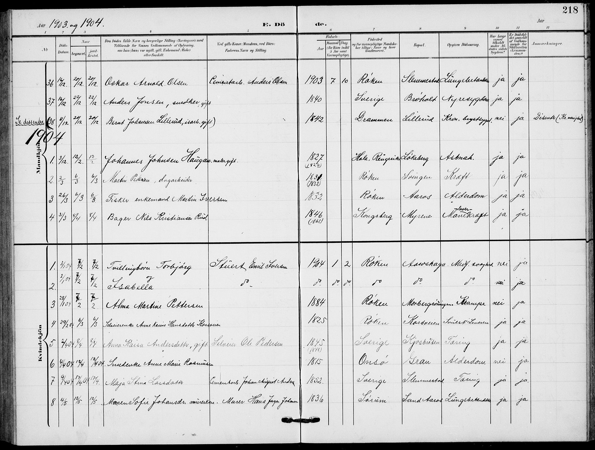 Røyken kirkebøker, AV/SAKO-A-241/G/Ga/L0005: Parish register (copy) no. 5, 1903-1918, p. 218