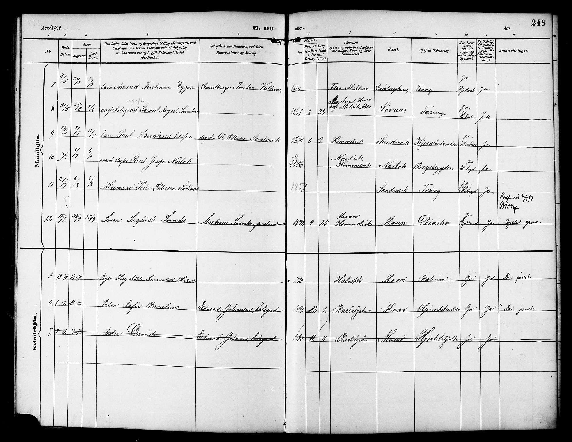 Ministerialprotokoller, klokkerbøker og fødselsregistre - Sør-Trøndelag, SAT/A-1456/617/L0431: Parish register (copy) no. 617C01, 1889-1910, p. 248