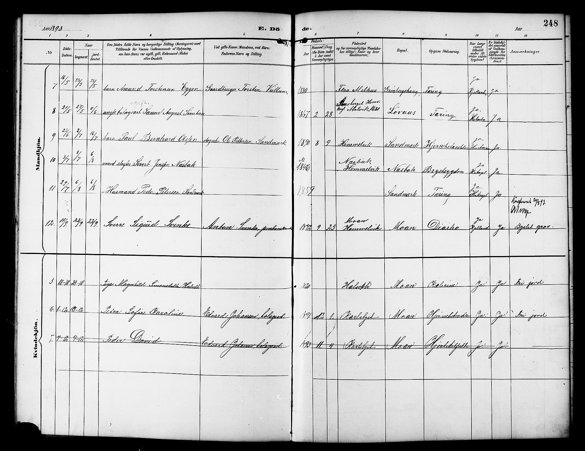 Ministerialprotokoller, klokkerbøker og fødselsregistre - Sør-Trøndelag, AV/SAT-A-1456/617/L0431: Parish register (copy) no. 617C01, 1889-1910, p. 248