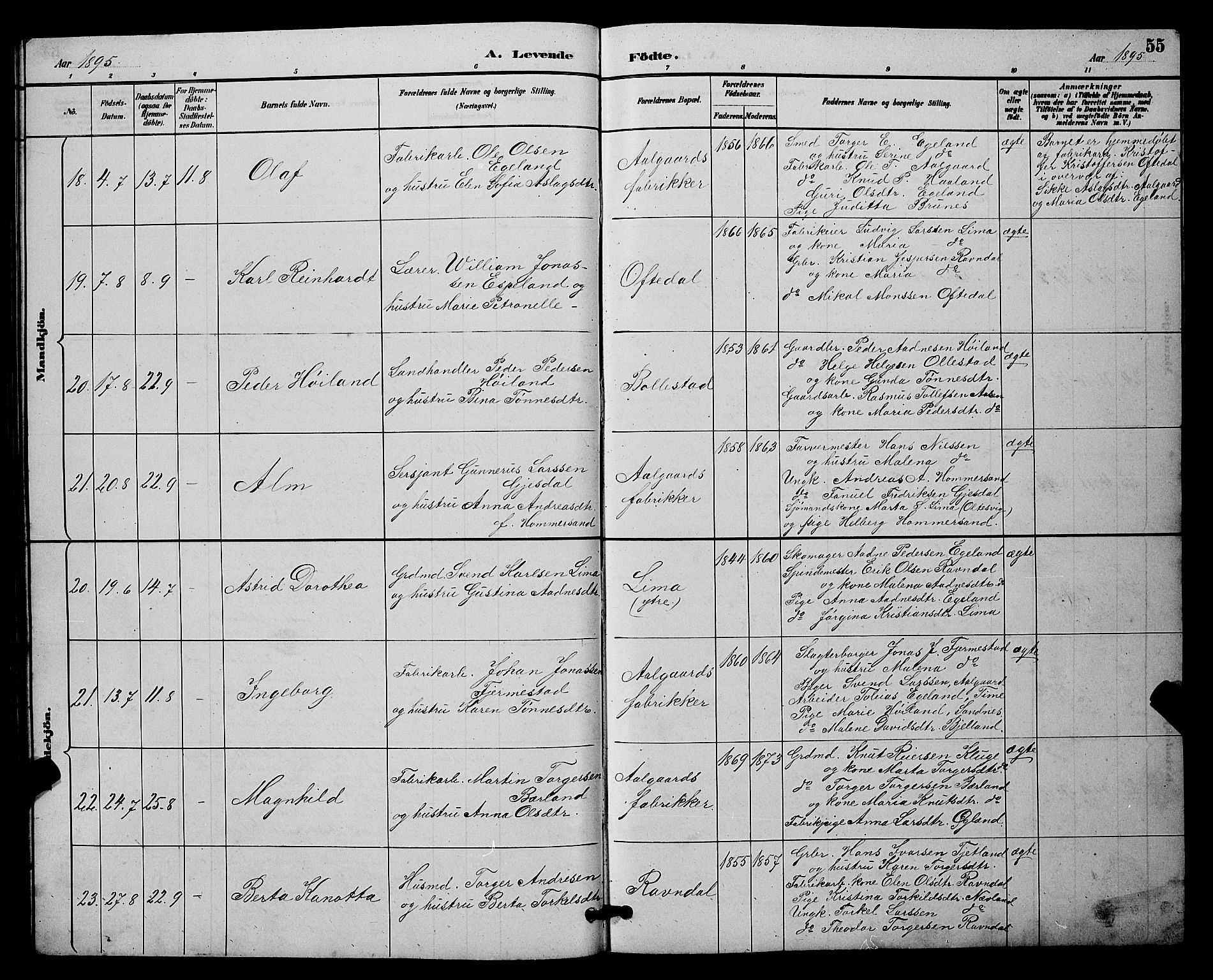 Lye sokneprestkontor, AV/SAST-A-101794/001/30BB/L0008: Parish register (copy) no. B 7, 1887-1901, p. 55