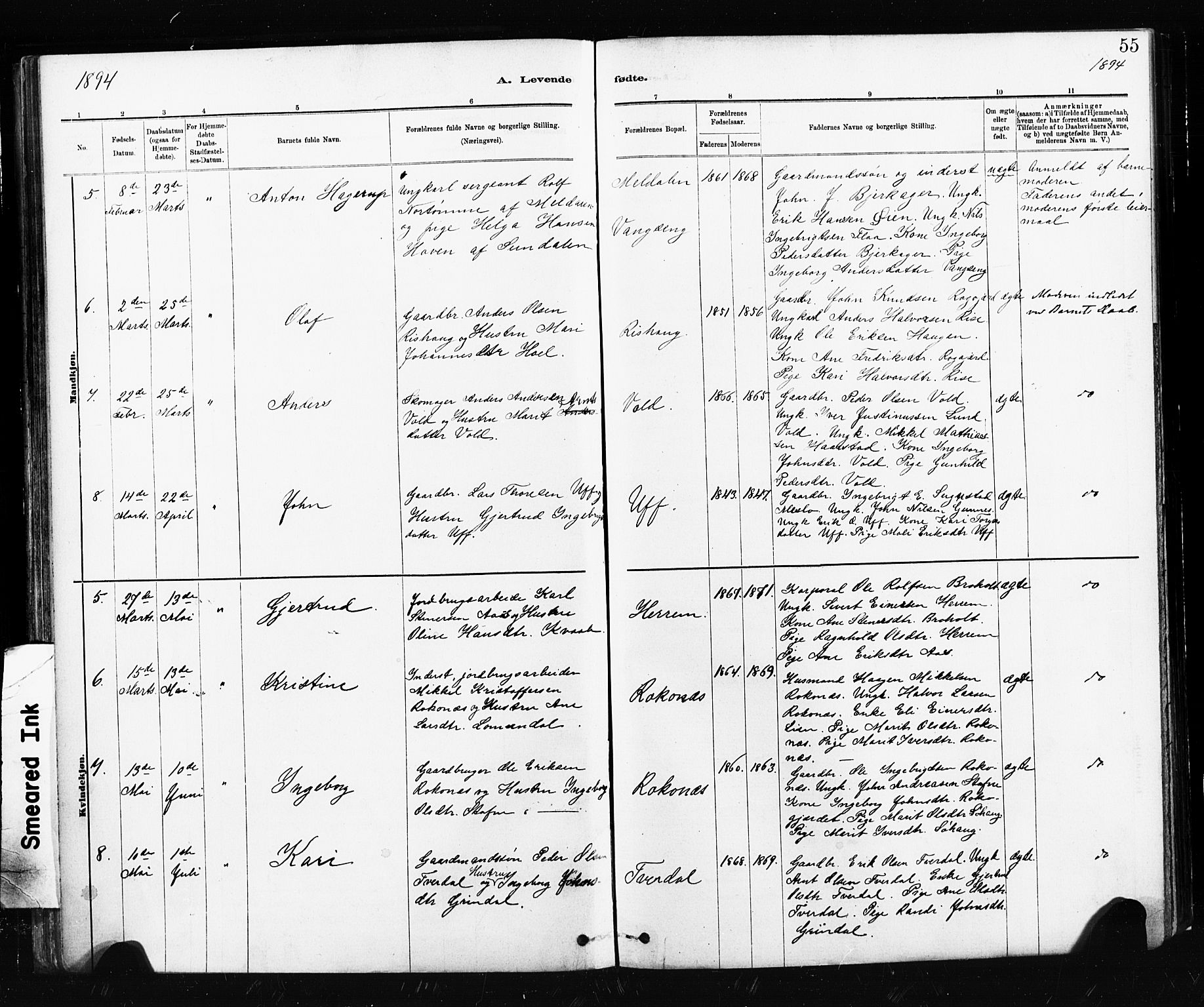Ministerialprotokoller, klokkerbøker og fødselsregistre - Sør-Trøndelag, SAT/A-1456/674/L0871: Parish register (official) no. 674A03, 1880-1896, p. 55