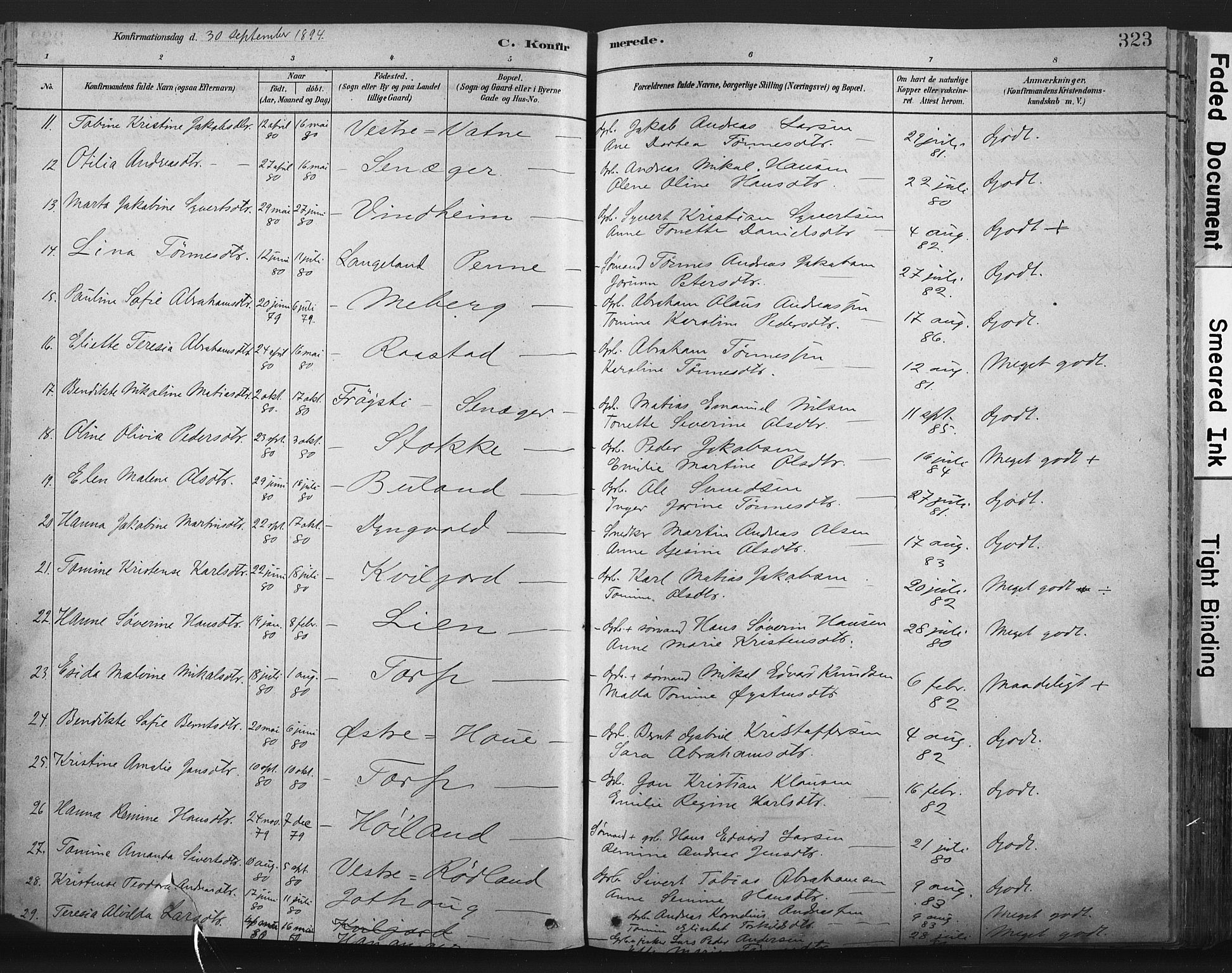 Lista sokneprestkontor, AV/SAK-1111-0027/F/Fa/L0012: Parish register (official) no. A 12, 1879-1903, p. 323