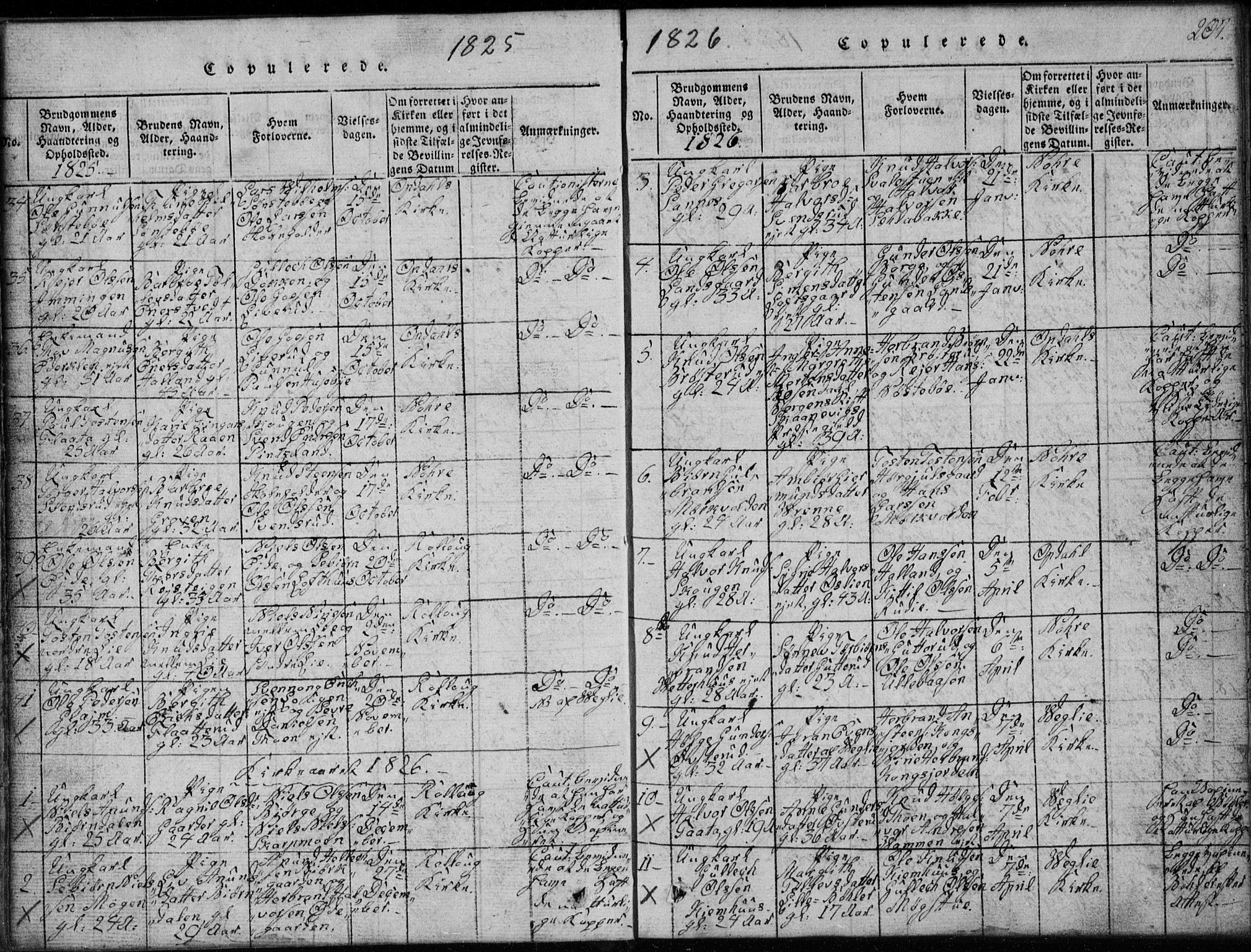 Rollag kirkebøker, SAKO/A-240/G/Ga/L0001: Parish register (copy) no. I 1, 1814-1831, p. 207