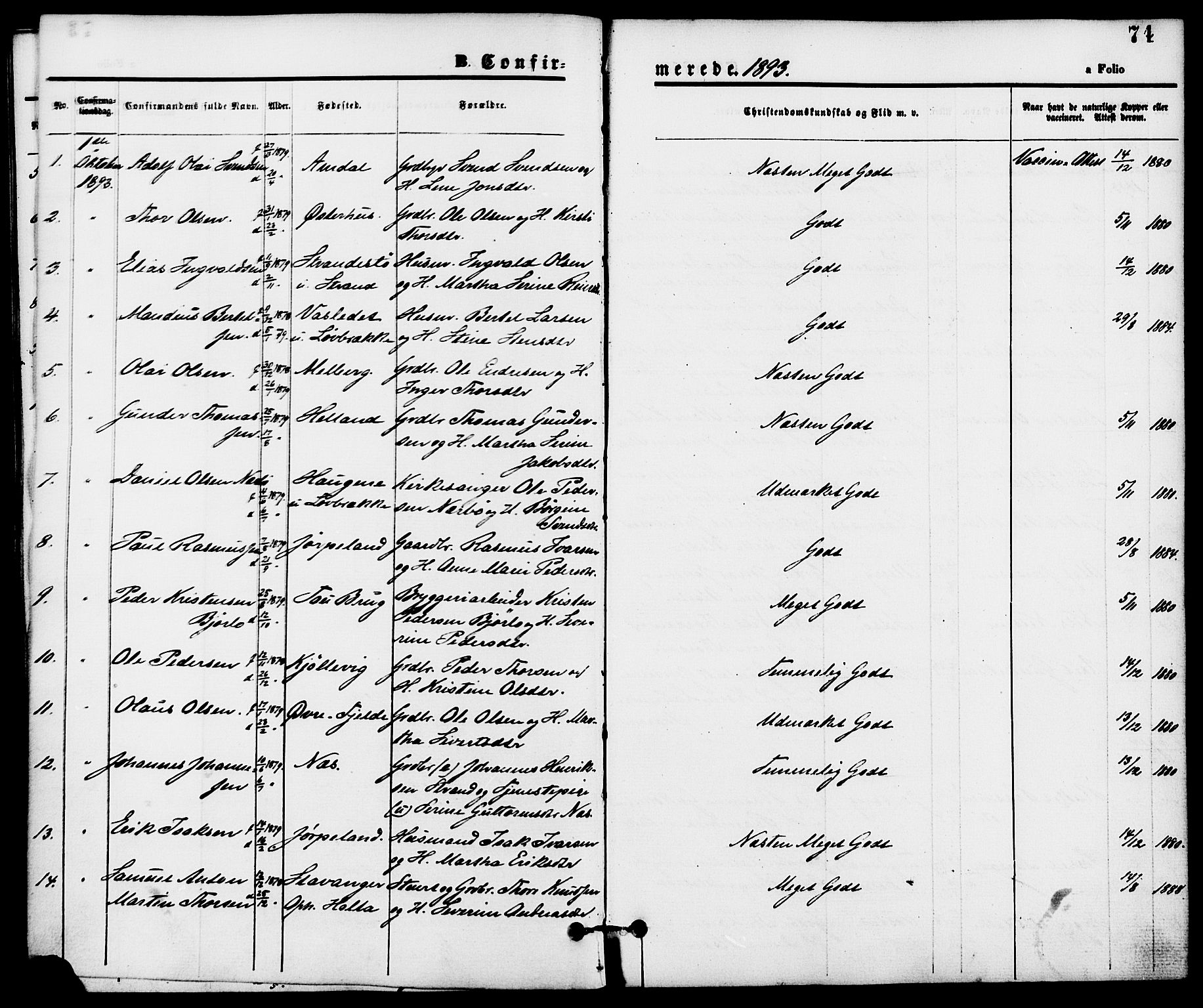 Strand sokneprestkontor, SAST/A-101828/H/Ha/Haa/L0008: Parish register (official) no. A 8, 1874-1907, p. 74