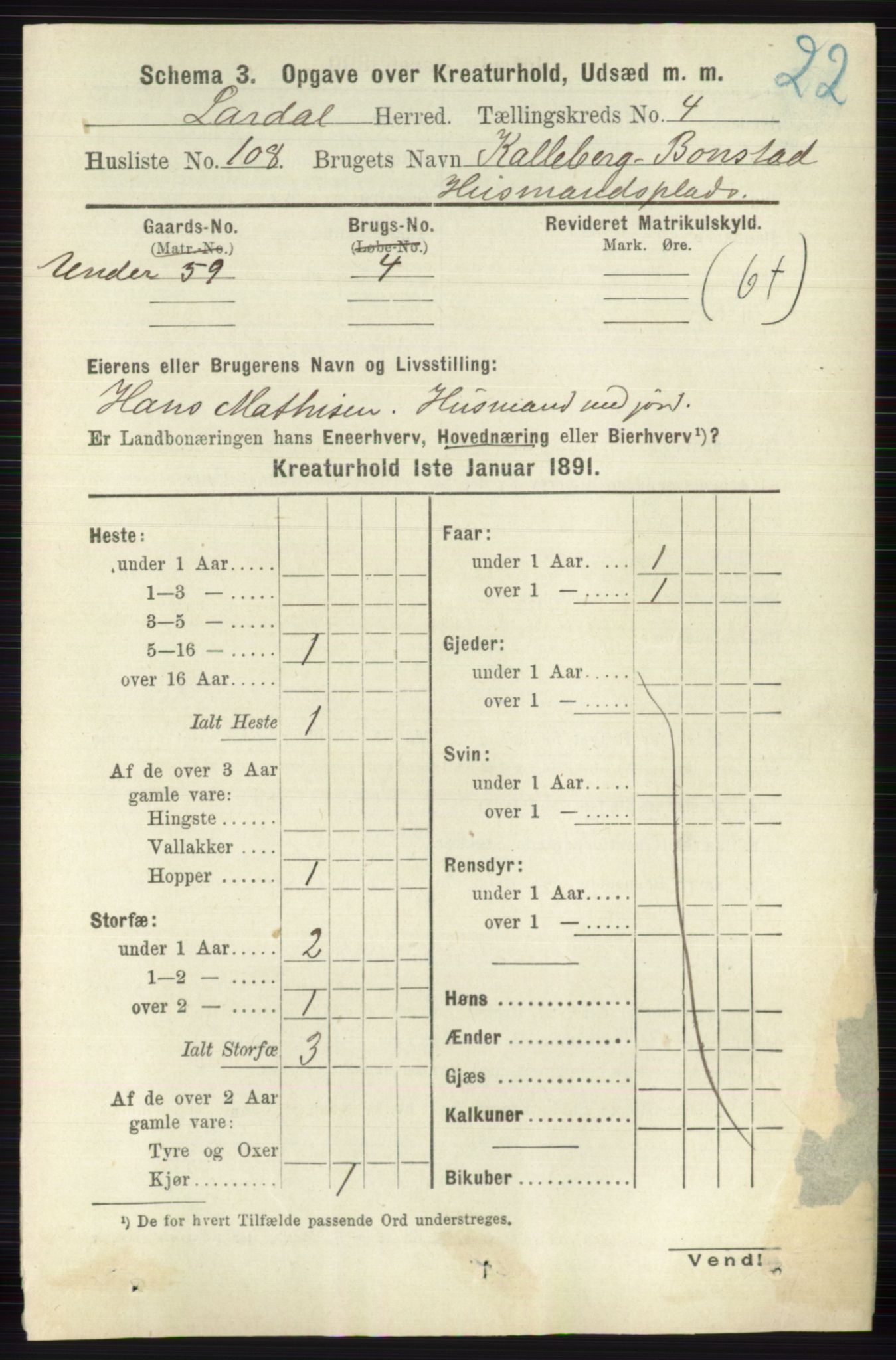 RA, 1891 census for 0728 Lardal, 1891, p. 4019