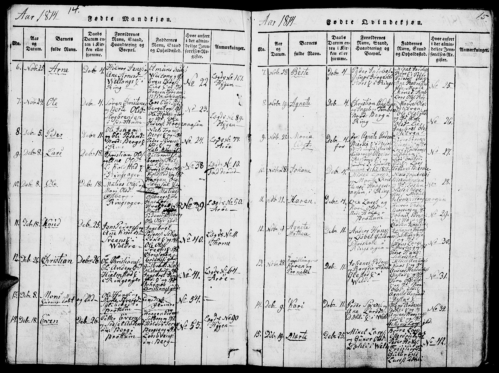 Ringsaker prestekontor, AV/SAH-PREST-014/L/La/L0001: Parish register (copy) no. 1, 1814-1826, p. 14-15