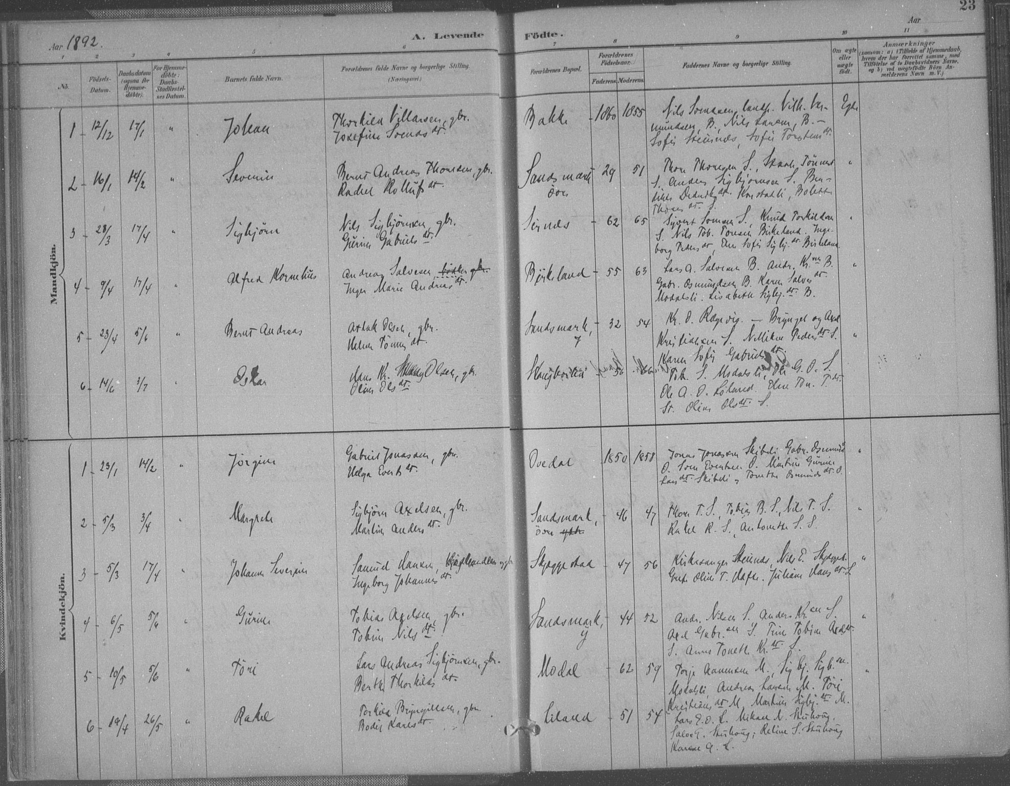 Bakke sokneprestkontor, SAK/1111-0002/F/Fa/Faa/L0008: Parish register (official) no. A 8, 1887-1911, p. 23