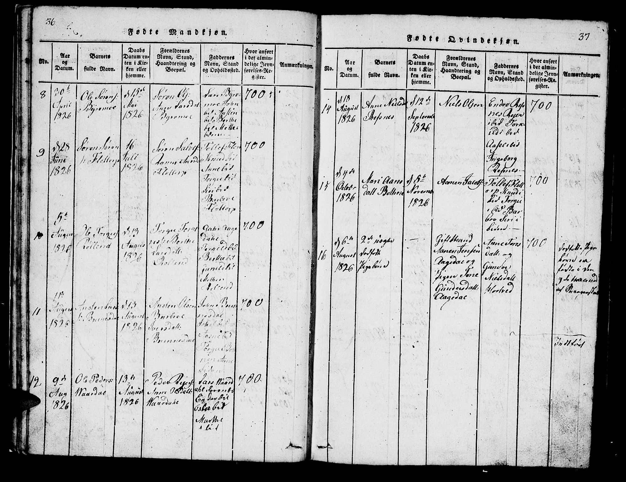Bjelland sokneprestkontor, SAK/1111-0005/F/Fb/Fbc/L0001: Parish register (copy) no. B 1, 1815-1870, p. 36-37