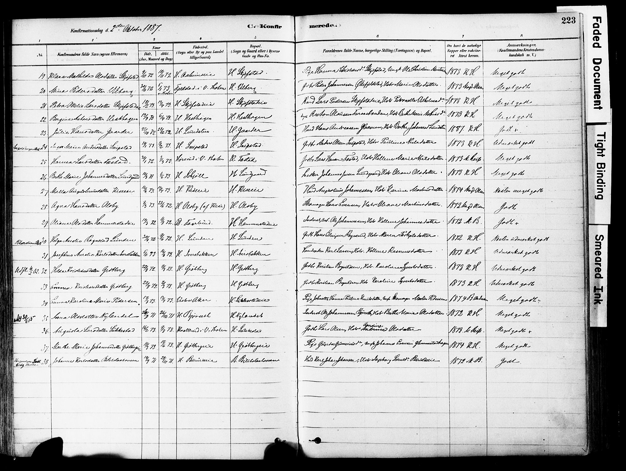 Østre Toten prestekontor, SAH/PREST-104/H/Ha/Haa/L0006: Parish register (official) no. 6 /1, 1878-1896, p. 223