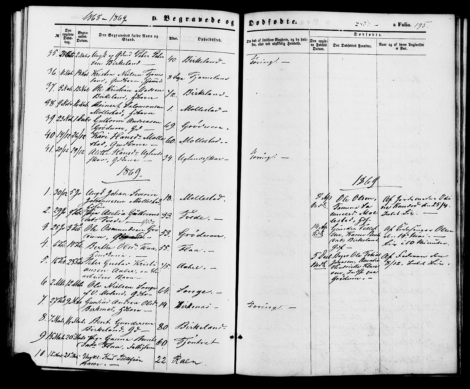 Birkenes sokneprestkontor, AV/SAK-1111-0004/F/Fa/L0004: Parish register (official) no. A 4, 1867-1886, p. 195