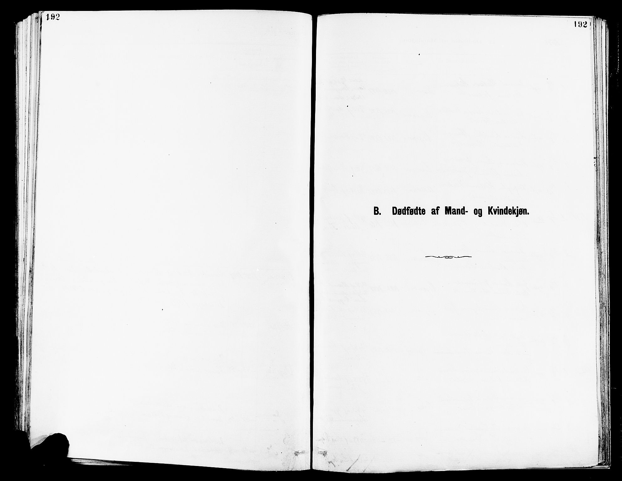 Avaldsnes sokneprestkontor, SAST/A -101851/H/Ha/Haa/L0014: Parish register (official) no. A 14, 1880-1889, p. 192