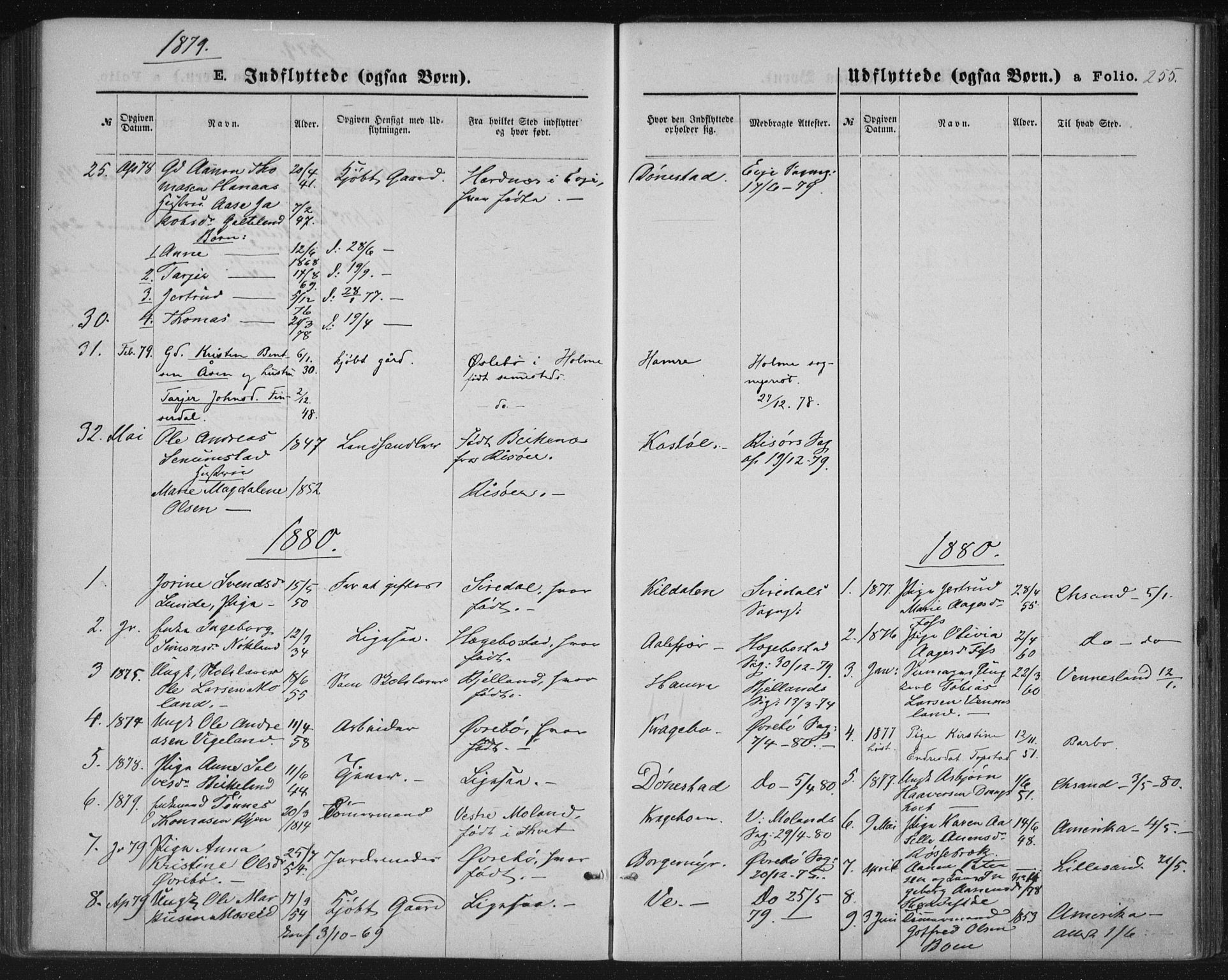 Tveit sokneprestkontor, SAK/1111-0043/F/Fa/L0006: Parish register (official) no. A 6, 1872-1886, p. 255