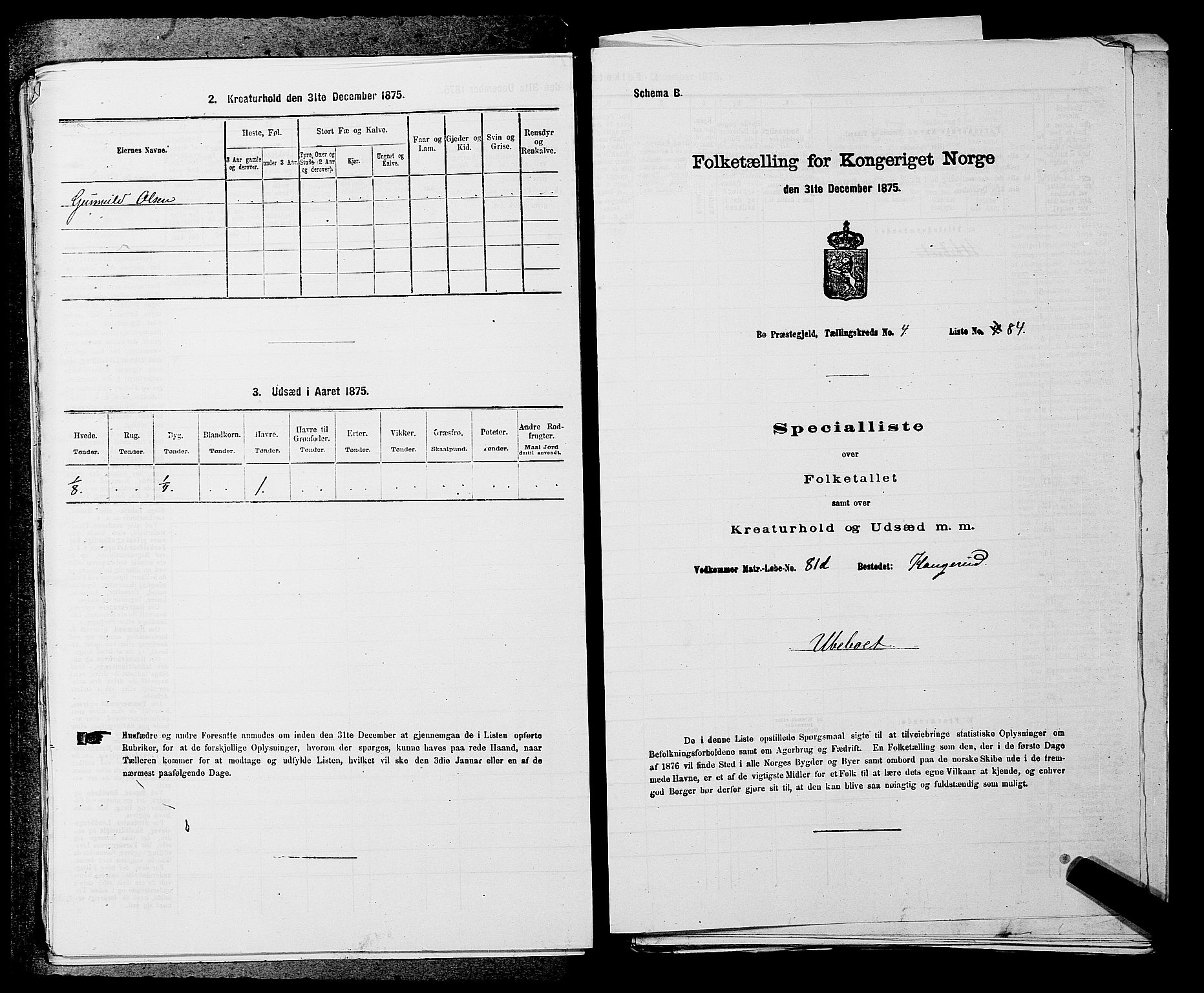 SAKO, 1875 census for 0821P Bø, 1875, p. 594