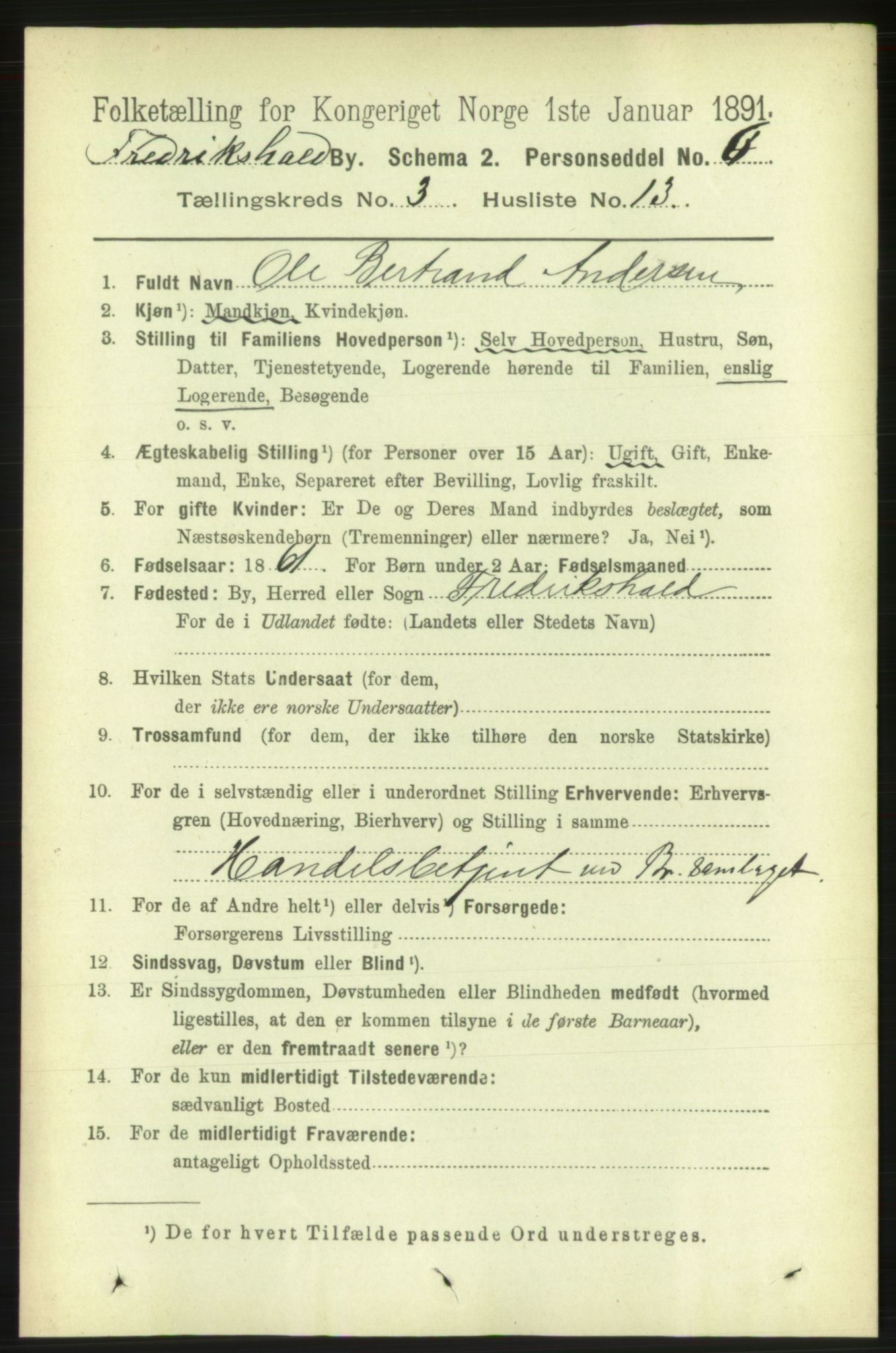 RA, 1891 census for 0101 Fredrikshald, 1891, p. 3407