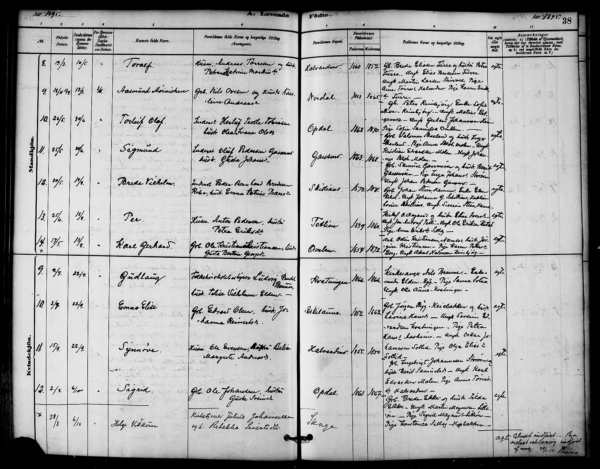 Ministerialprotokoller, klokkerbøker og fødselsregistre - Nord-Trøndelag, AV/SAT-A-1458/766/L0563: Parish register (official) no. 767A01, 1881-1899, p. 38