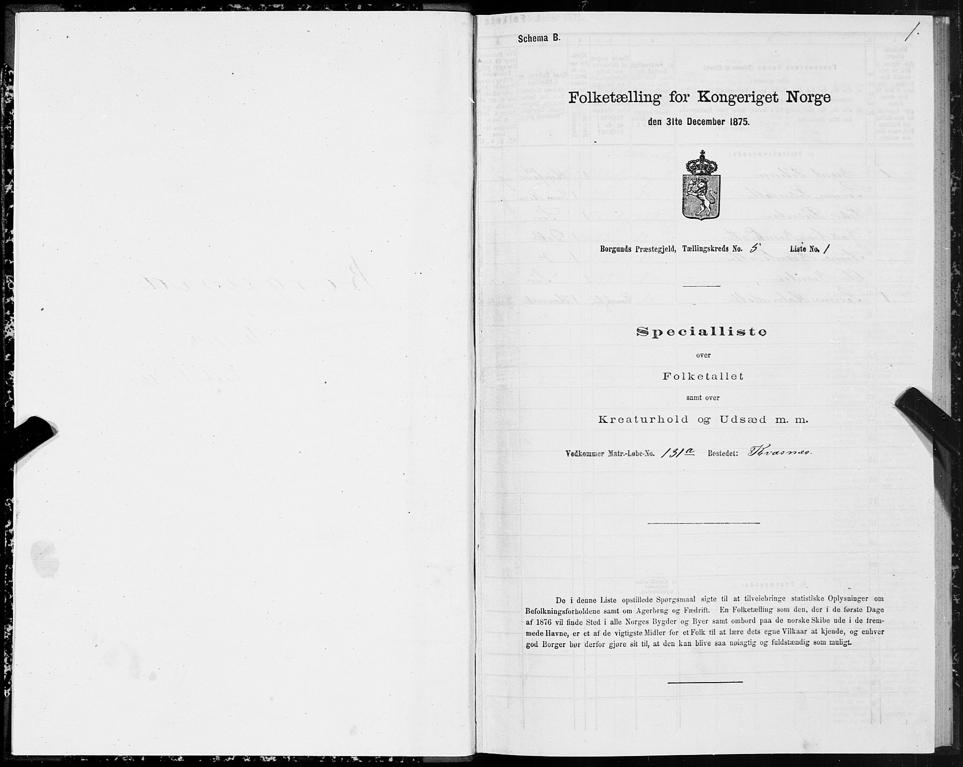 SAT, 1875 census for 1531P Borgund, 1875, p. 3001