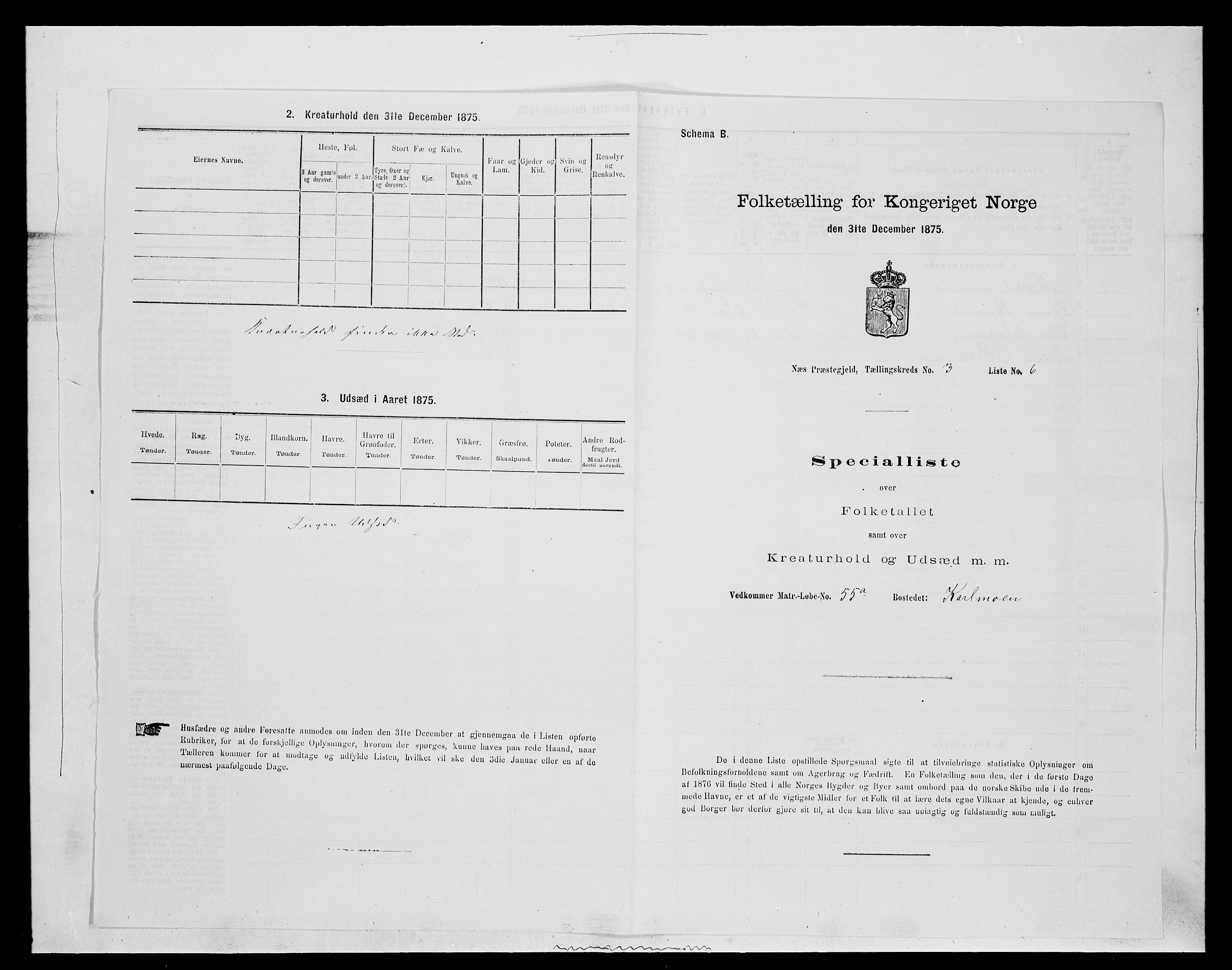 SAH, 1875 census for 0411P Nes, 1875, p. 447