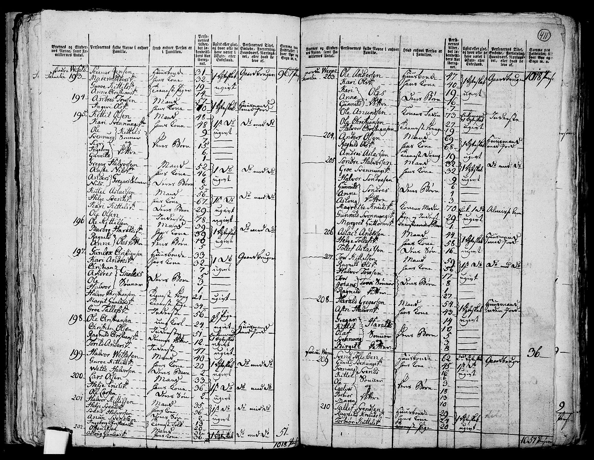 RA, 1801 census for 0828P Seljord, 1801, p. 410b-411a