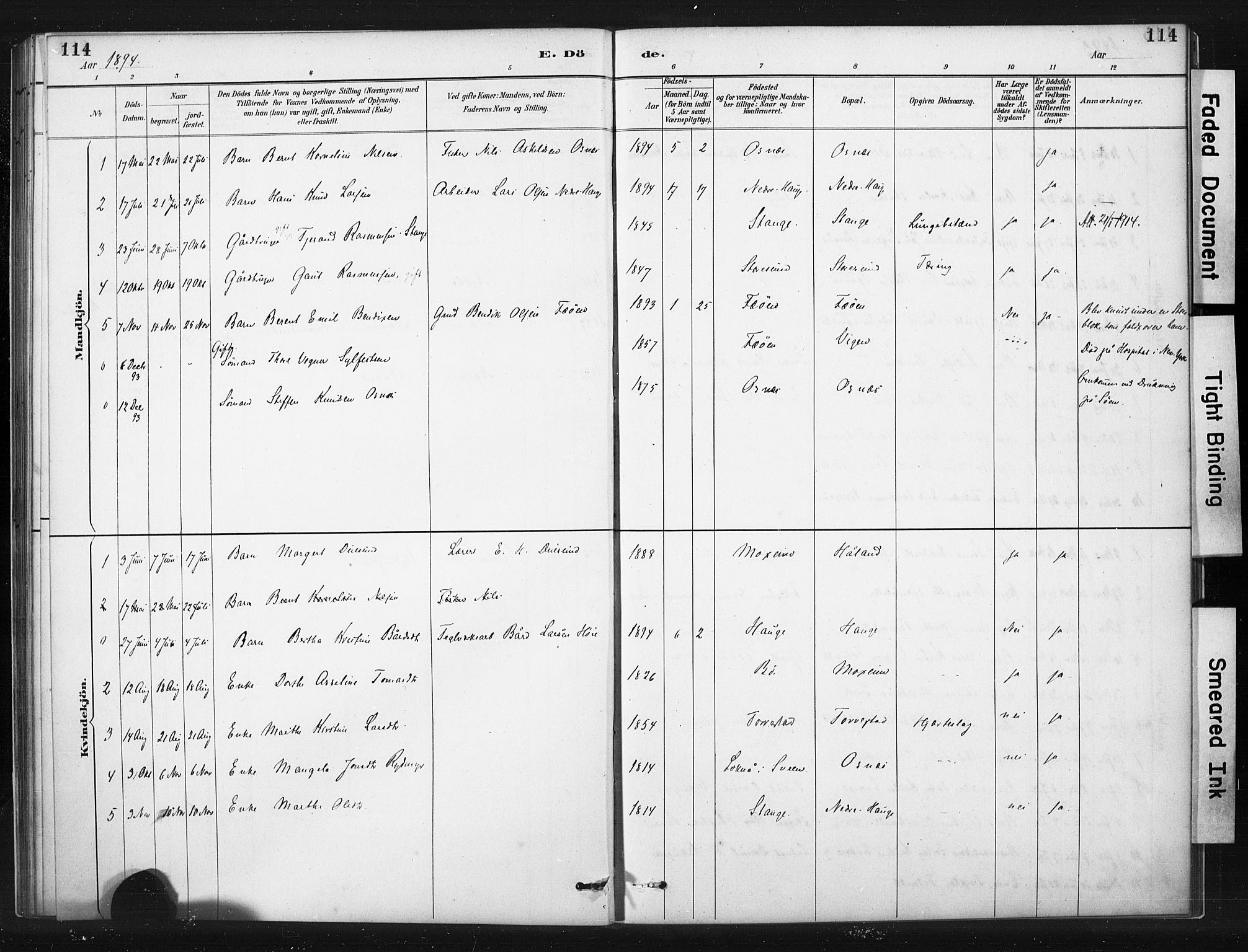 Torvastad sokneprestkontor, AV/SAST-A -101857/H/Ha/Haa/L0015: Parish register (official) no. A 14, 1888-1899, p. 114