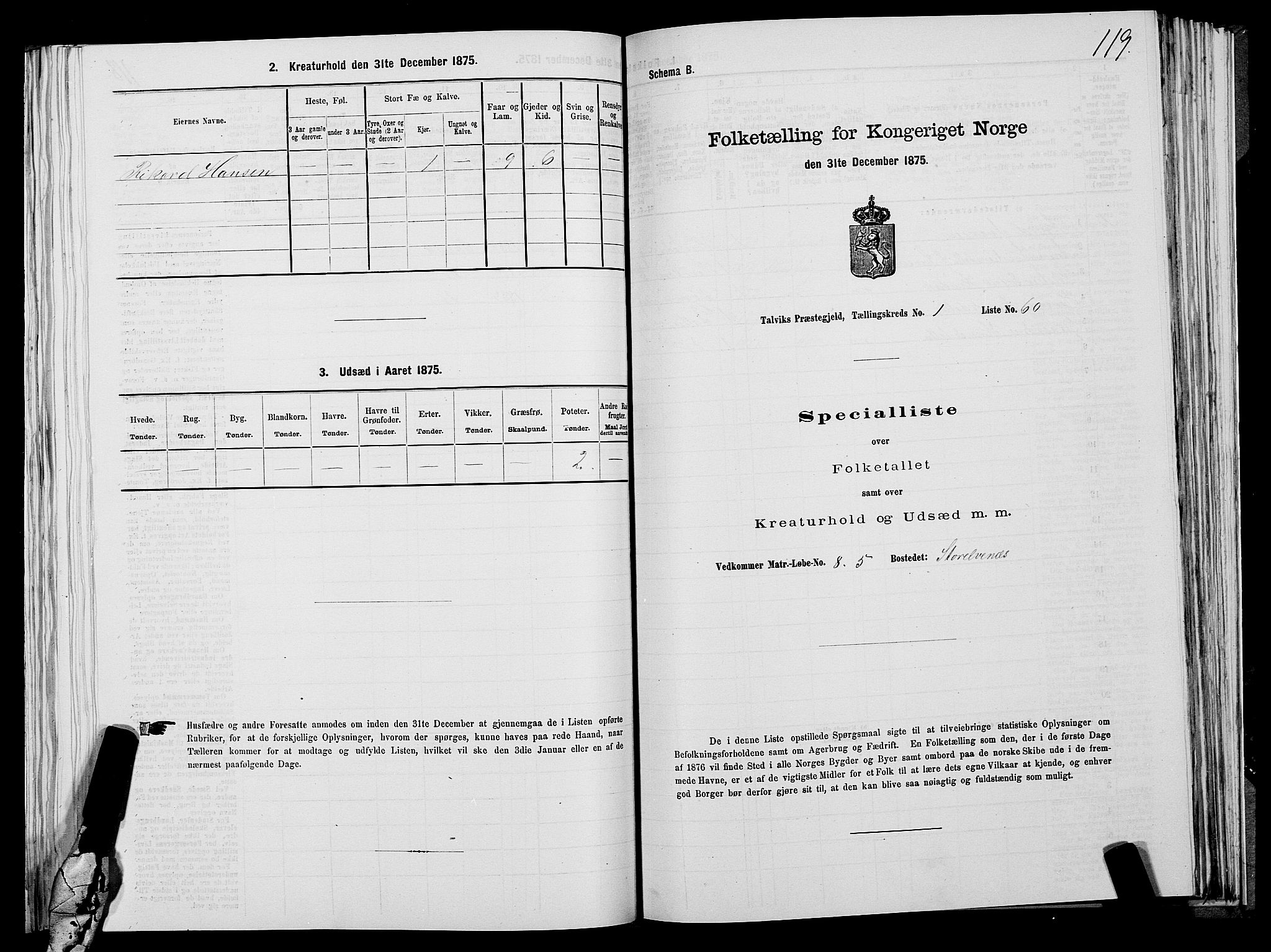 SATØ, 1875 census for 2013P Talvik, 1875, p. 1119