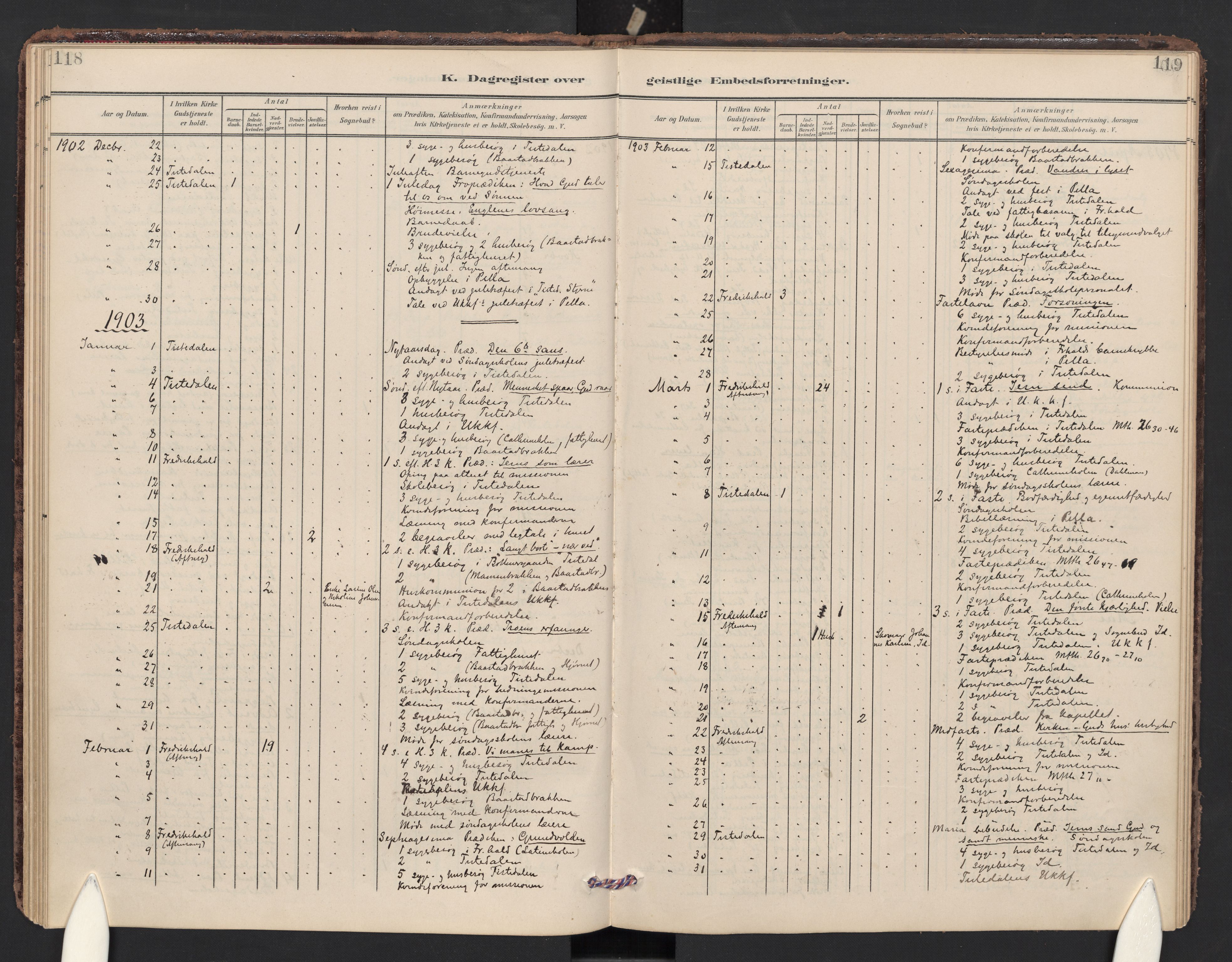 Halden prestekontor Kirkebøker, SAO/A-10909/F/Fc/L0001: Parish register (official) no. III 1, 1902-1908, p. 118-119