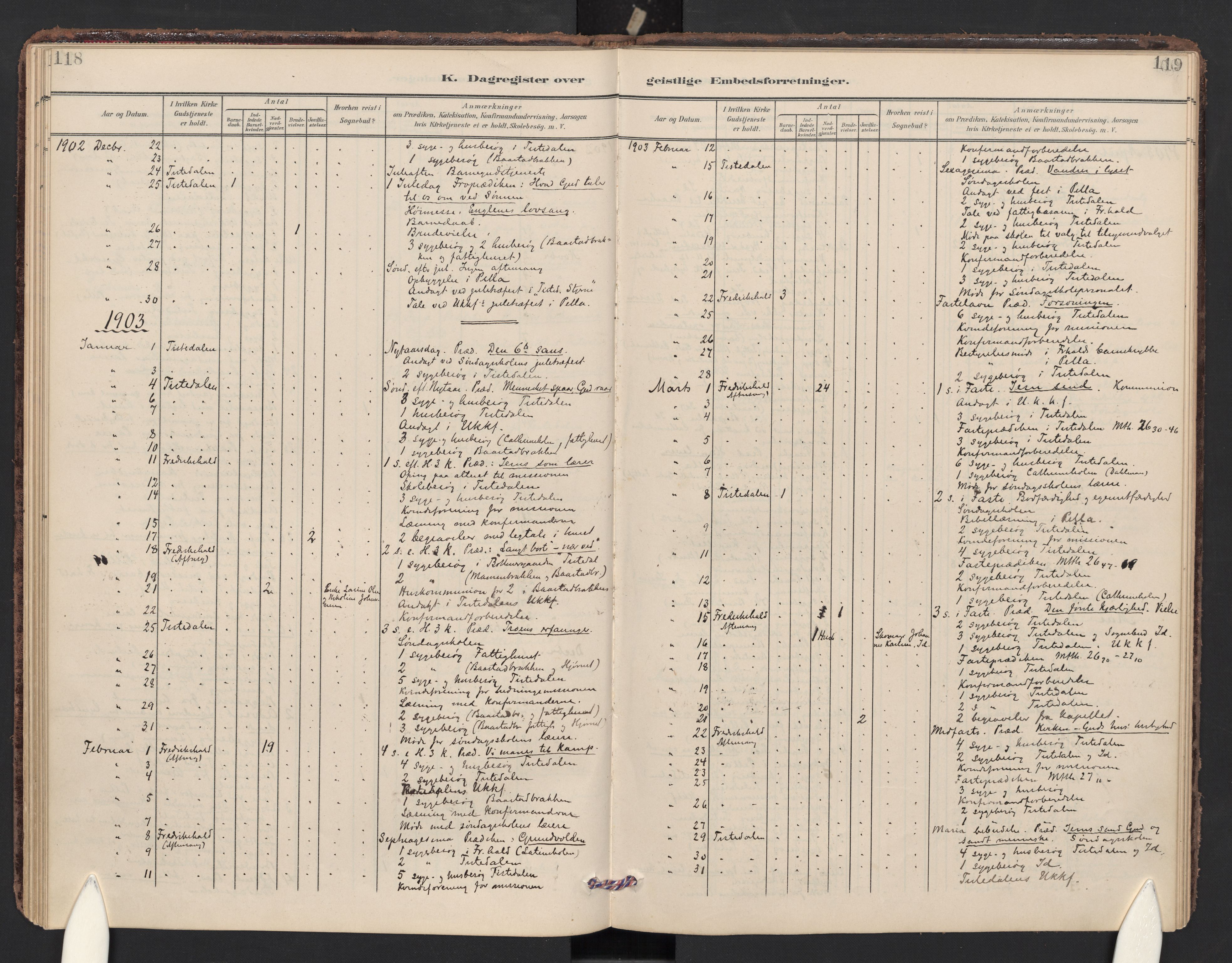 Halden prestekontor Kirkebøker, AV/SAO-A-10909/F/Fc/L0001: Parish register (official) no. III 1, 1902-1908, p. 118-119