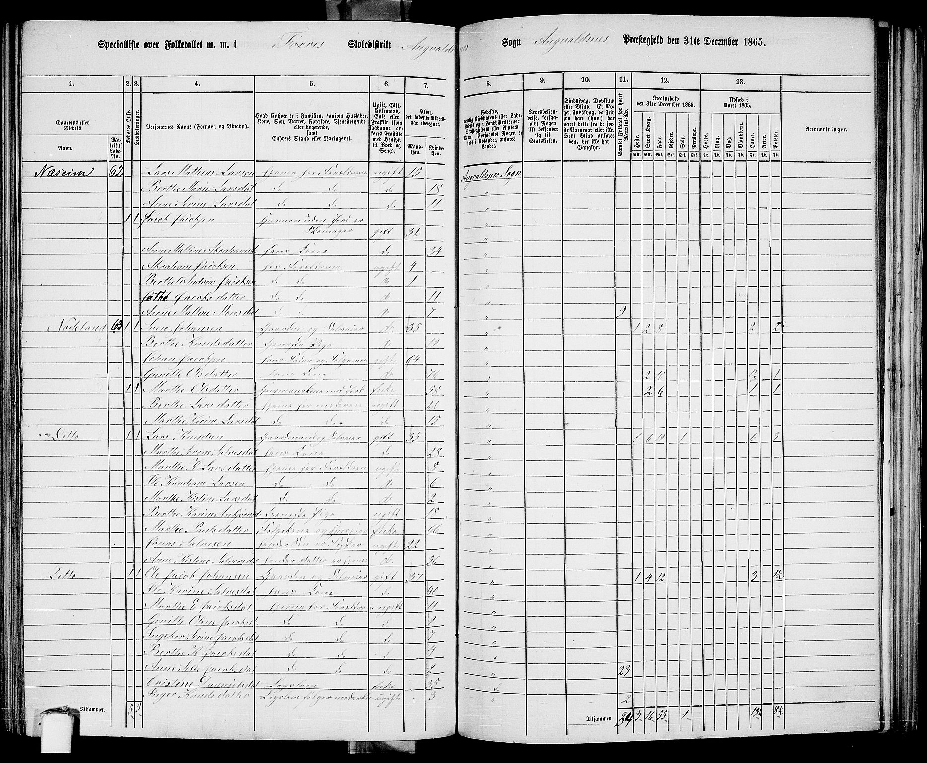 RA, 1865 census for Avaldsnes, 1865, p. 193