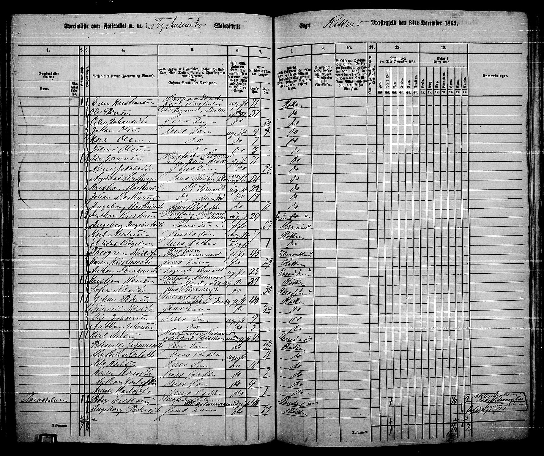 RA, 1865 census for Røyken, 1865, p. 99