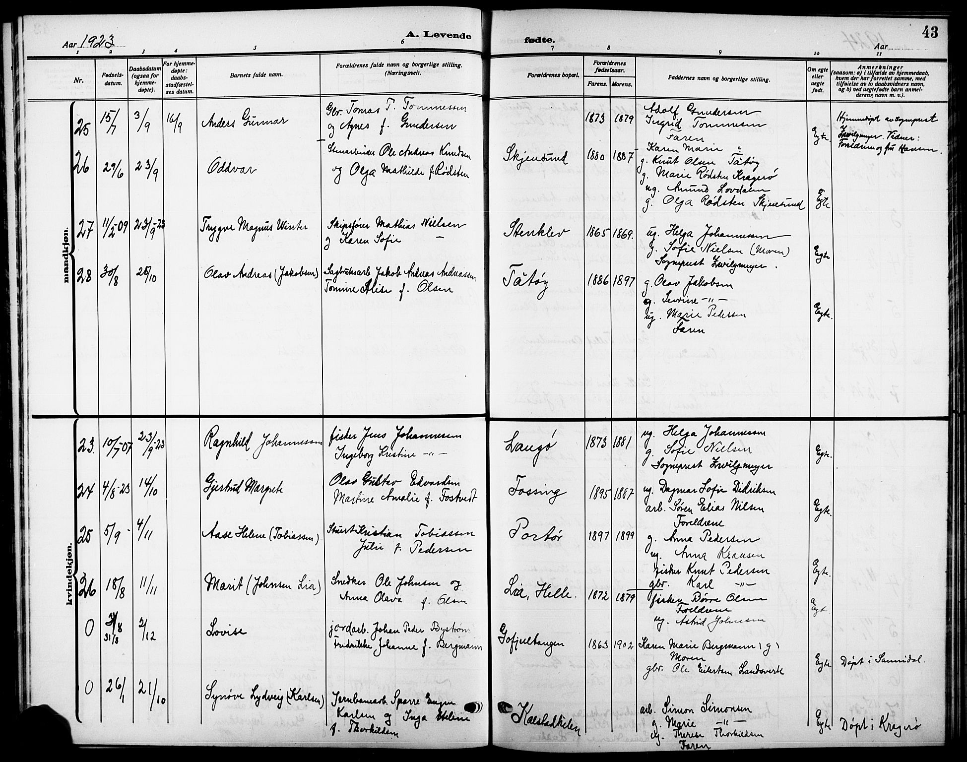 Skåtøy kirkebøker, SAKO/A-304/G/Ga/L0005: Parish register (copy) no. I 5, 1915-1925, p. 43