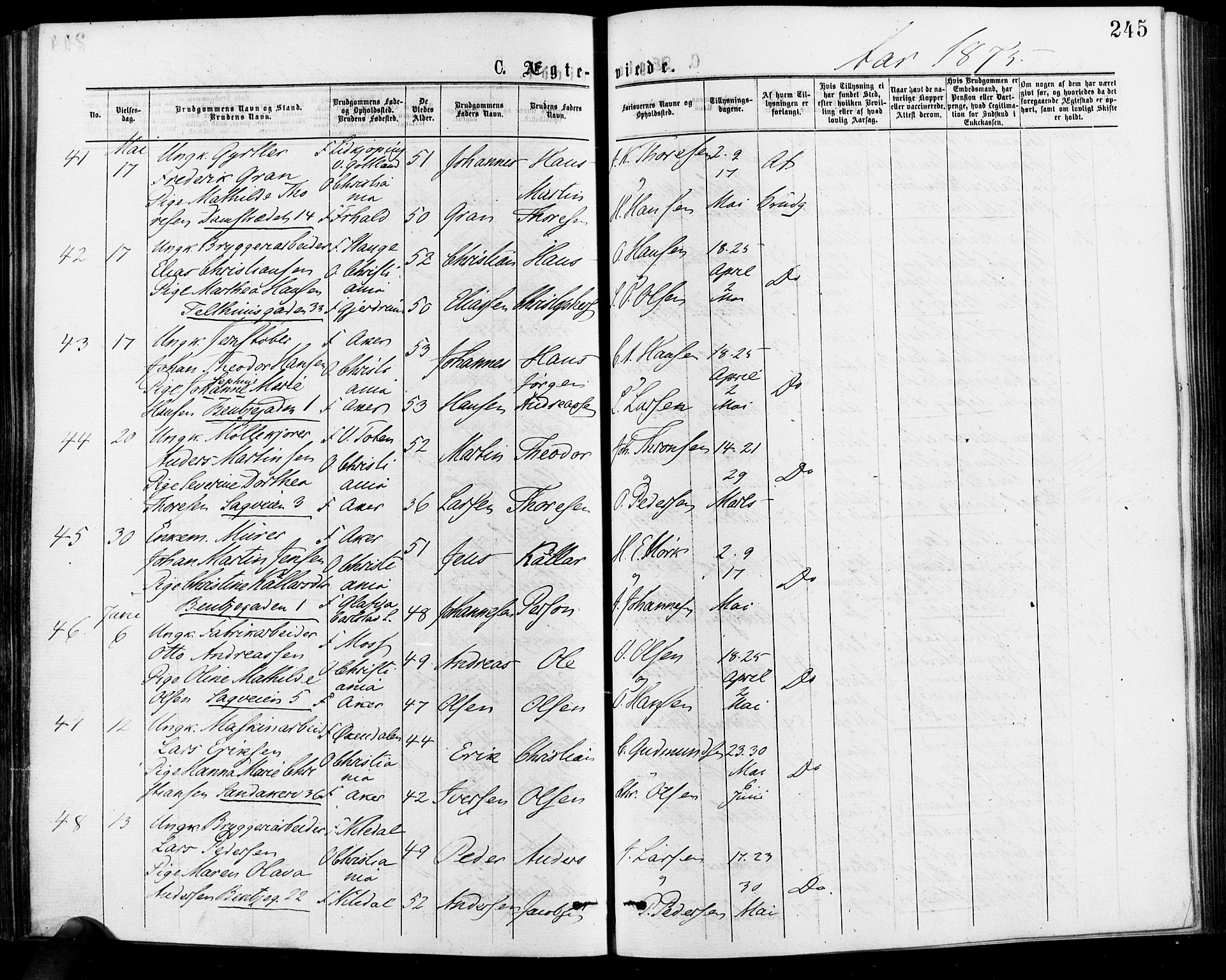 Gamle Aker prestekontor Kirkebøker, AV/SAO-A-10617a/F/L0005: Parish register (official) no. 5, 1873-1881, p. 245