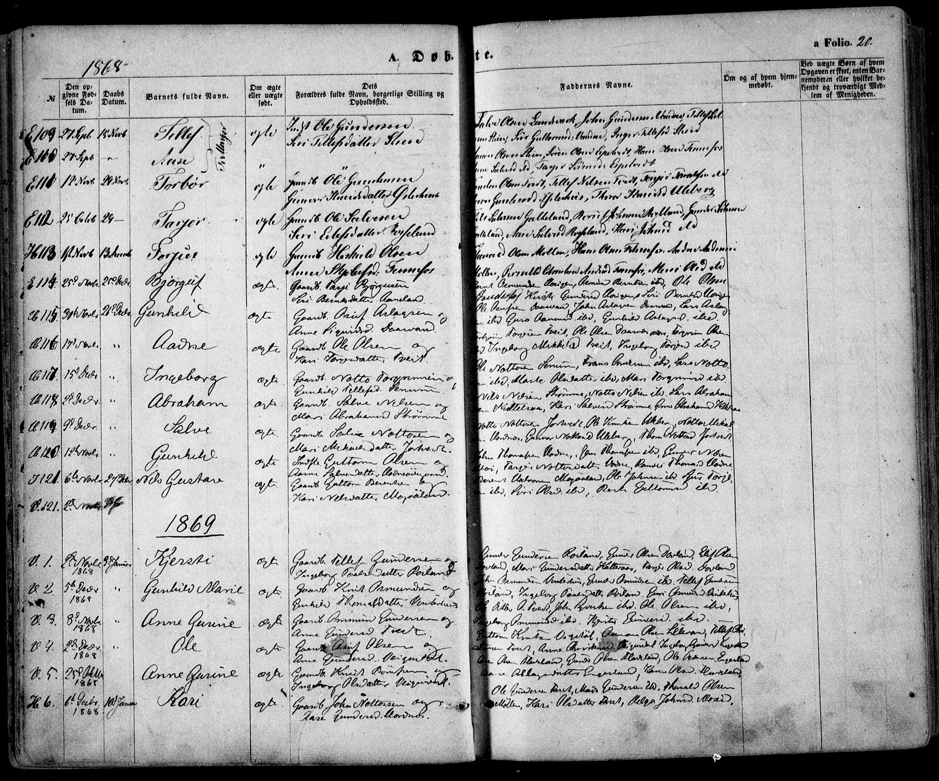 Evje sokneprestkontor, SAK/1111-0008/F/Fa/Faa/L0006: Parish register (official) no. A 6, 1866-1884, p. 20