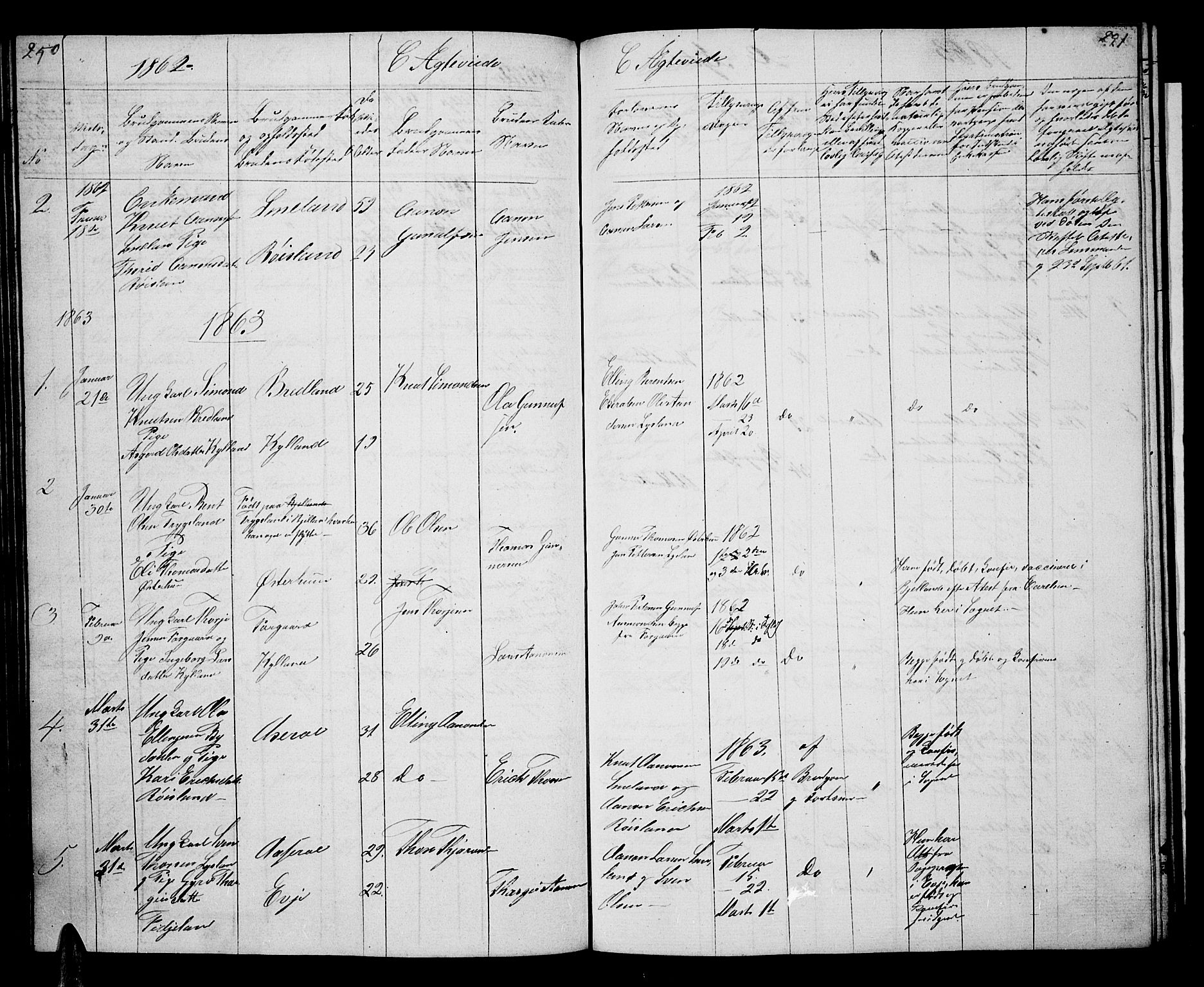 Åseral sokneprestkontor, SAK/1111-0051/F/Fb/L0001: Parish register (copy) no. B 1, 1856-1877, p. 250-251