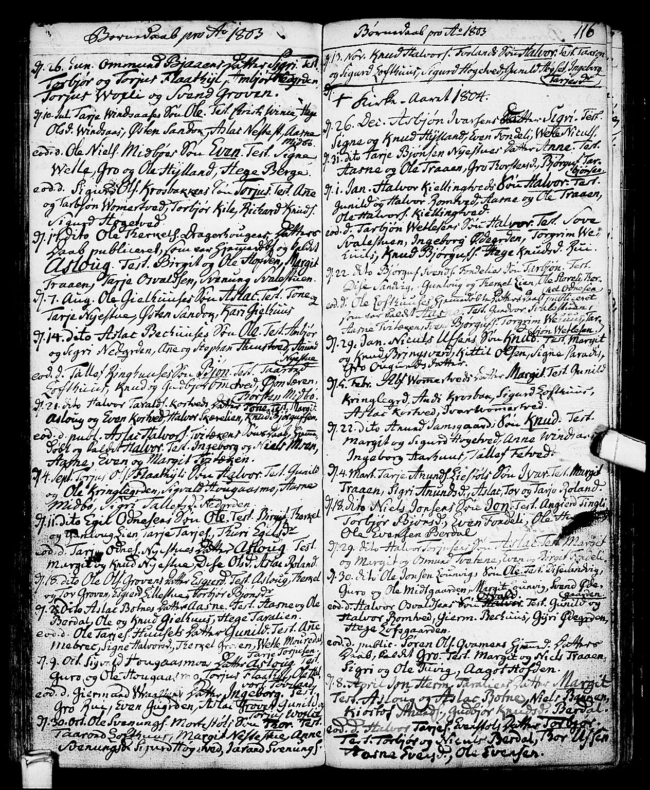 Vinje kirkebøker, SAKO/A-312/F/Fa/L0002: Parish register (official) no. I 2, 1767-1814, p. 116