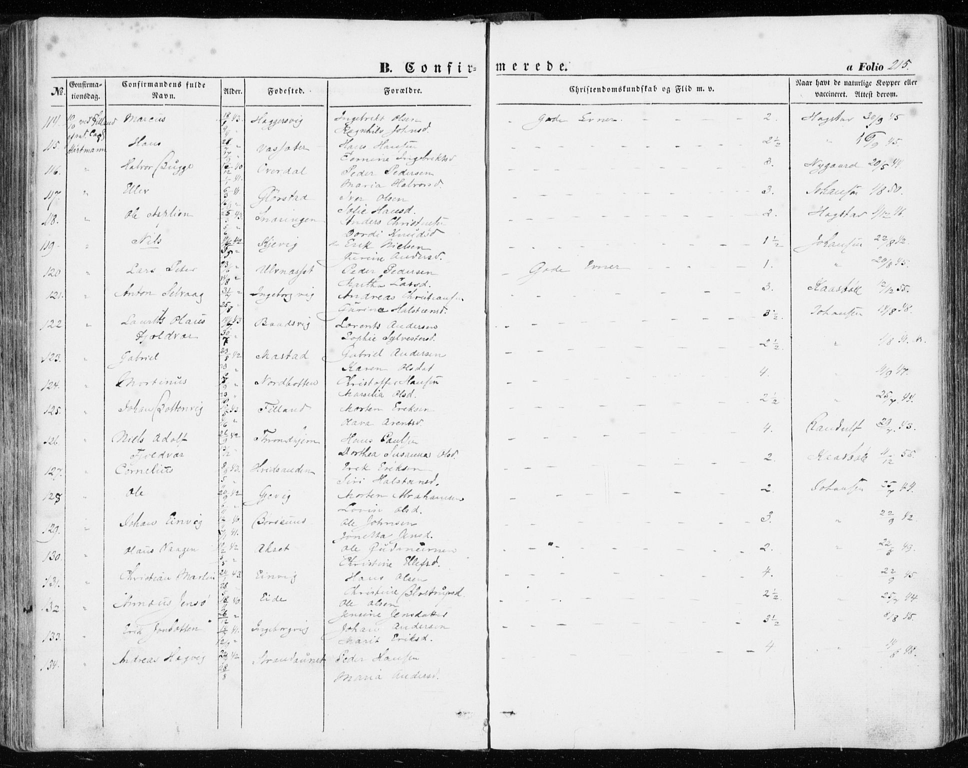 Ministerialprotokoller, klokkerbøker og fødselsregistre - Sør-Trøndelag, SAT/A-1456/634/L0530: Parish register (official) no. 634A06, 1852-1860, p. 215
