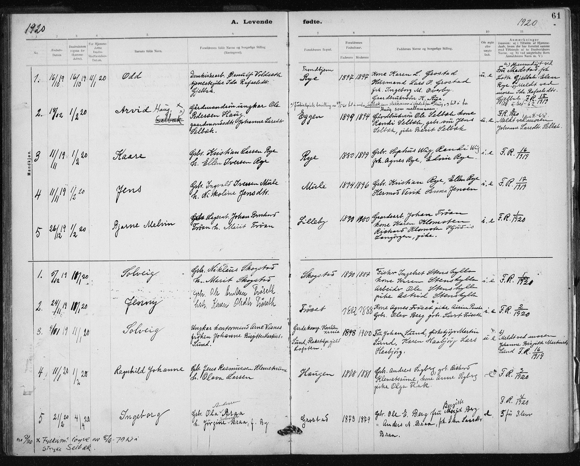 Ministerialprotokoller, klokkerbøker og fødselsregistre - Sør-Trøndelag, SAT/A-1456/612/L0381: Parish register (official) no. 612A13, 1907-1923, p. 61