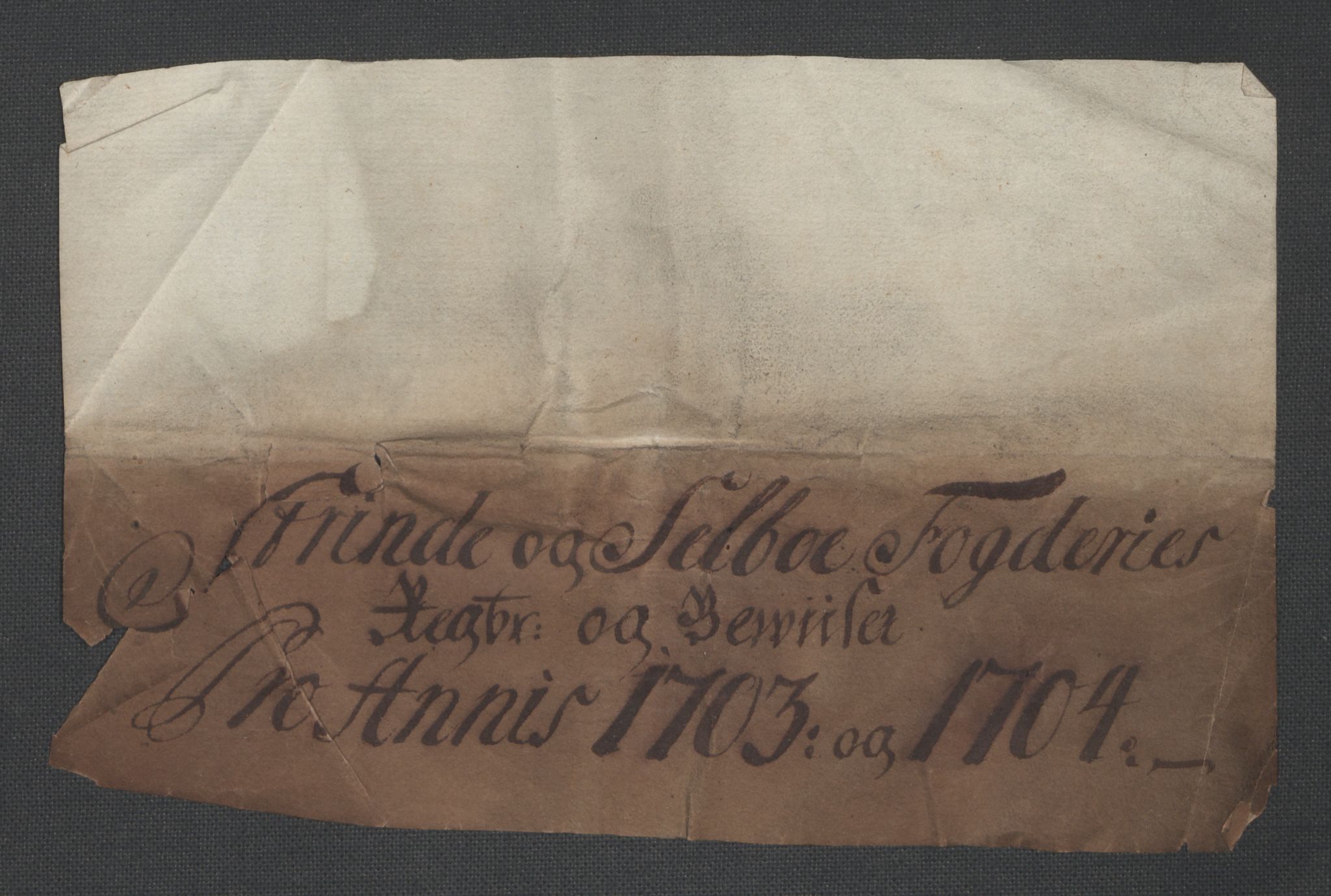 Rentekammeret inntil 1814, Reviderte regnskaper, Fogderegnskap, AV/RA-EA-4092/R61/L4109: Fogderegnskap Strinda og Selbu, 1704-1706, p. 5