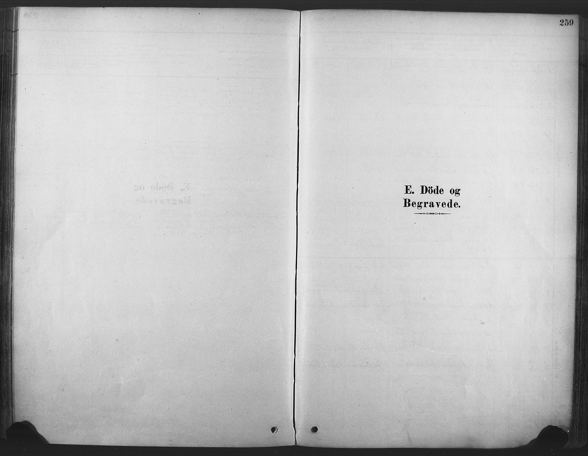 Våle kirkebøker, AV/SAKO-A-334/F/Fa/L0011: Parish register (official) no. I 11, 1878-1906, p. 259