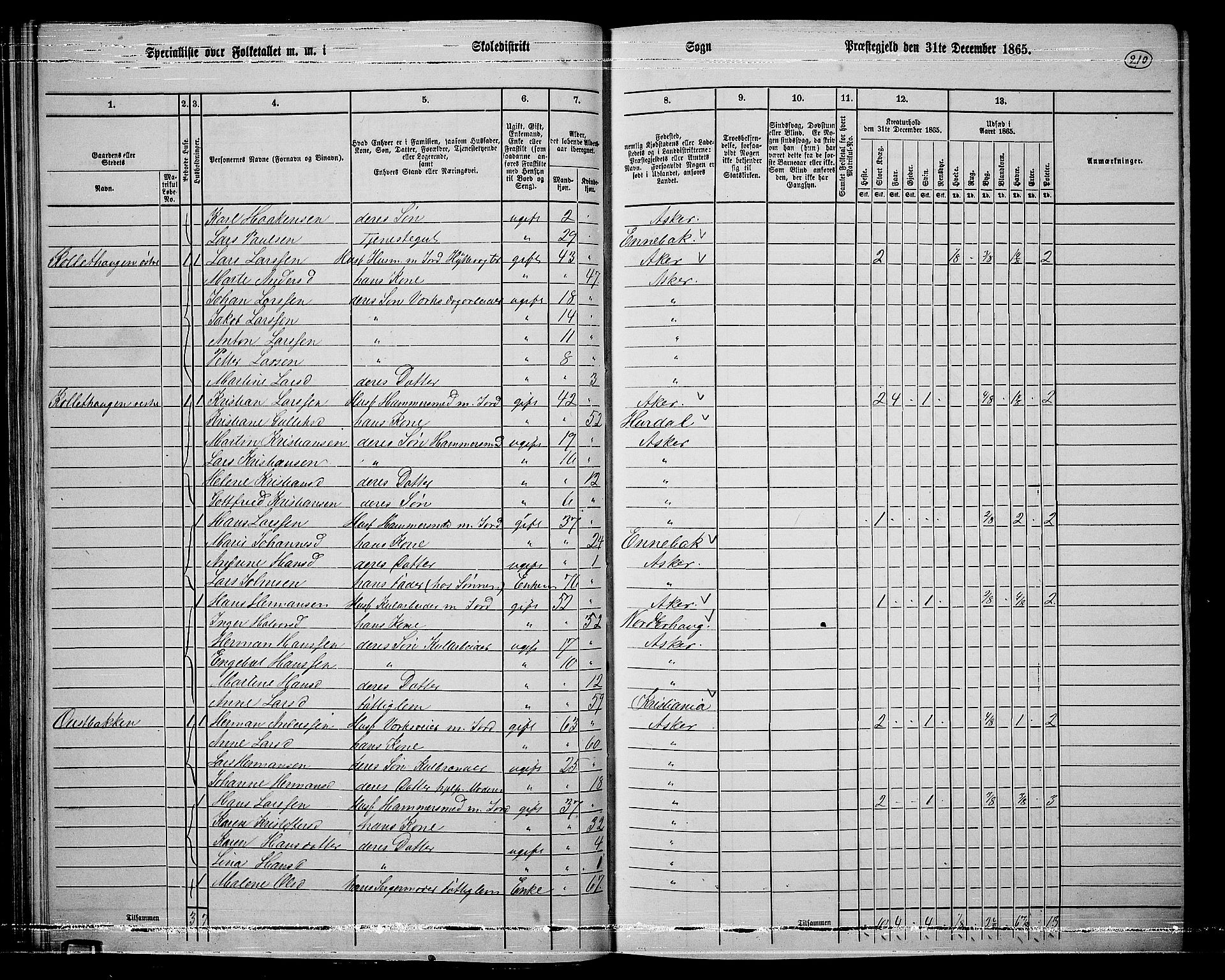 RA, 1865 census for Asker, 1865, p. 202