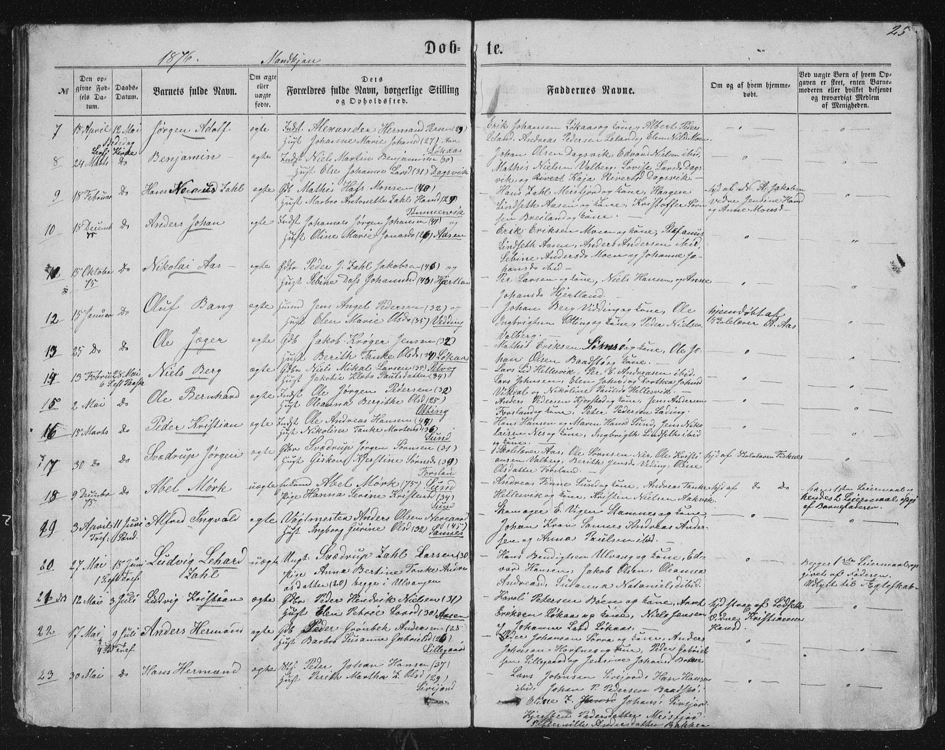 Ministerialprotokoller, klokkerbøker og fødselsregistre - Nordland, AV/SAT-A-1459/831/L0476: Parish register (copy) no. 831C03, 1866-1877, p. 25