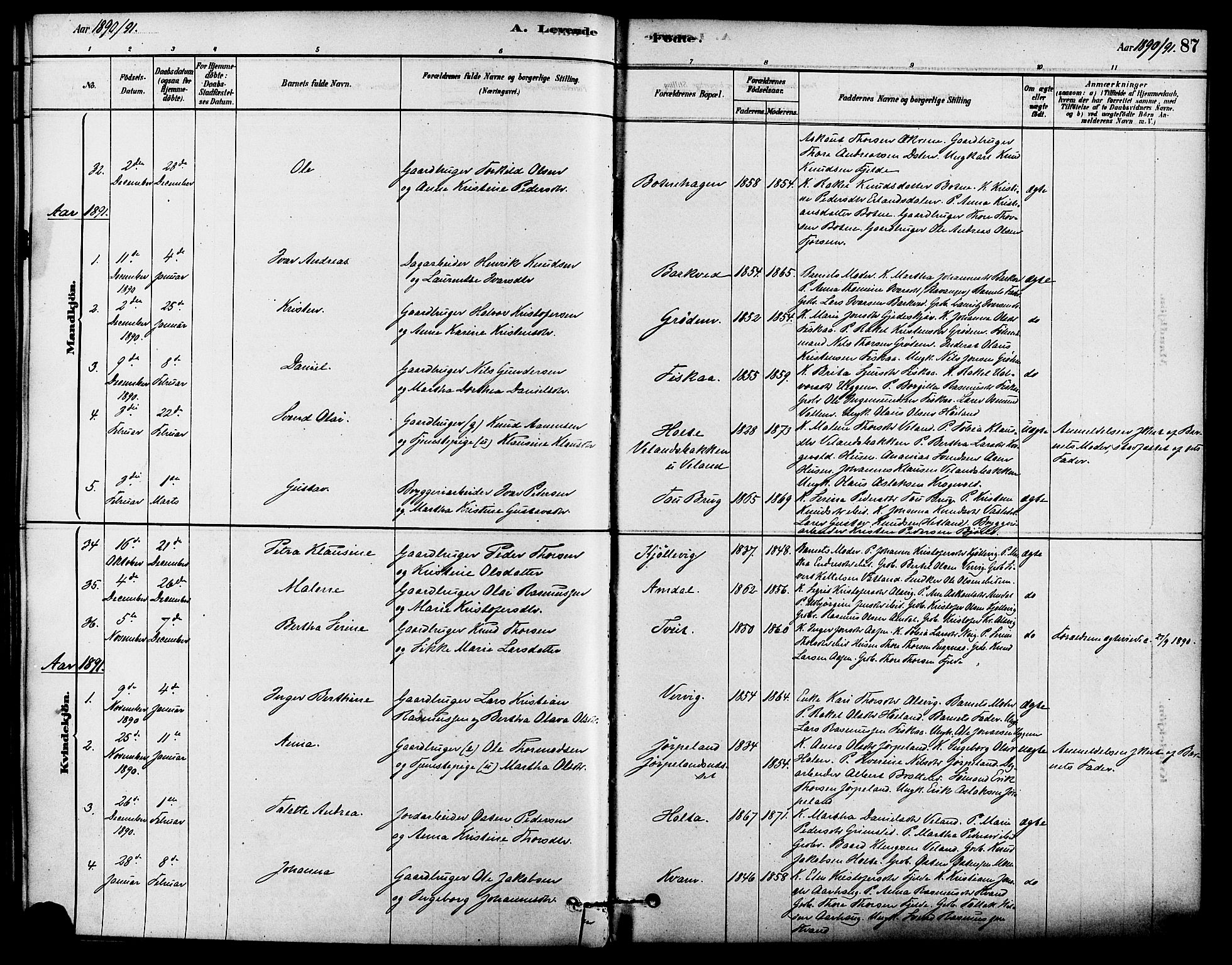 Strand sokneprestkontor, SAST/A-101828/H/Ha/Haa/L0009: Parish register (official) no. A 9, 1877-1908, p. 87