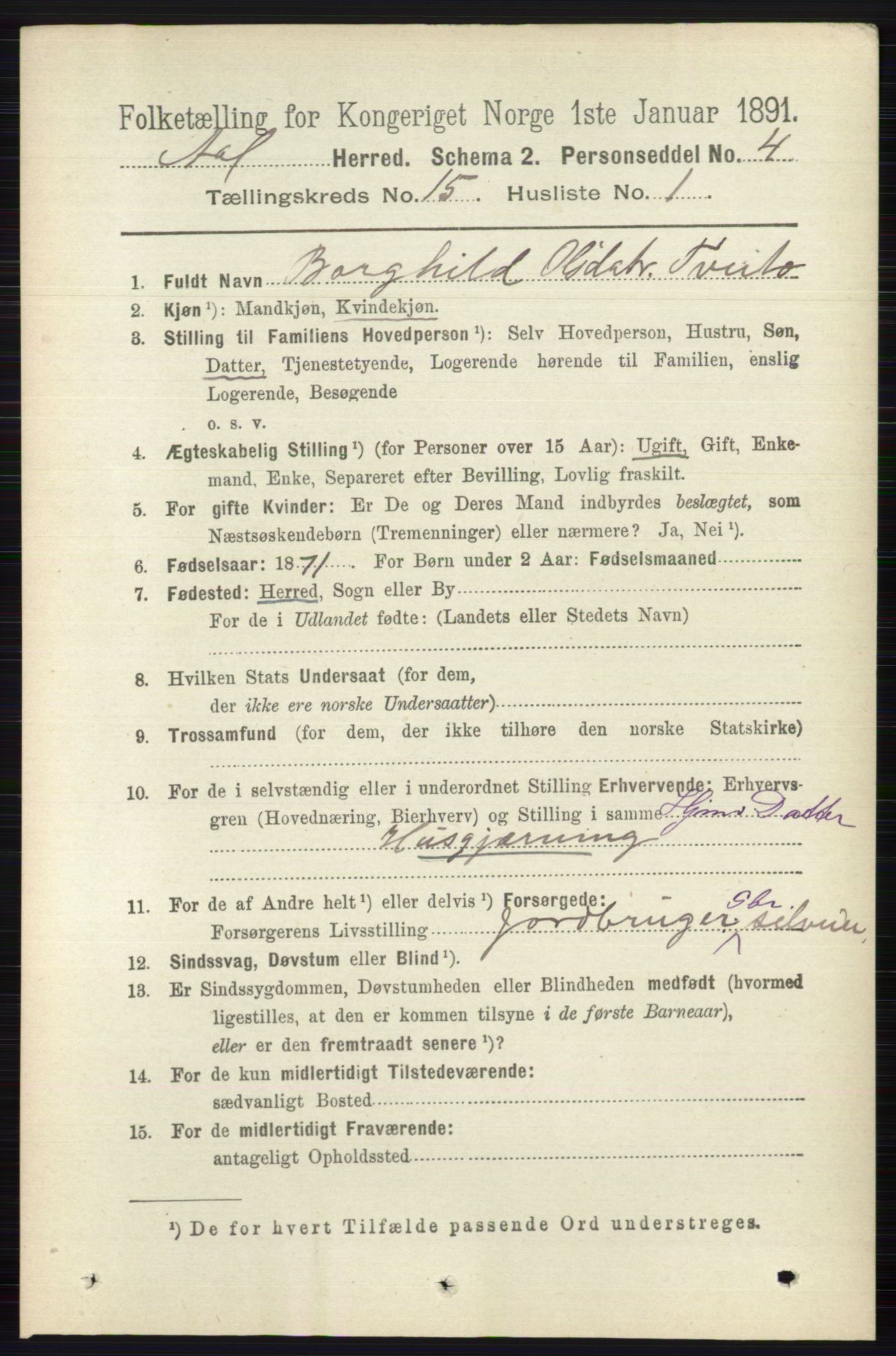 RA, 1891 census for 0619 Ål, 1891, p. 3757